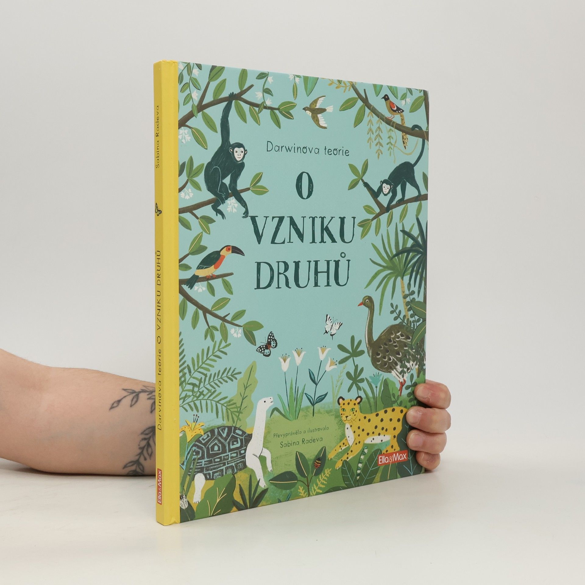 Sabina Radeva O vzniku druhů