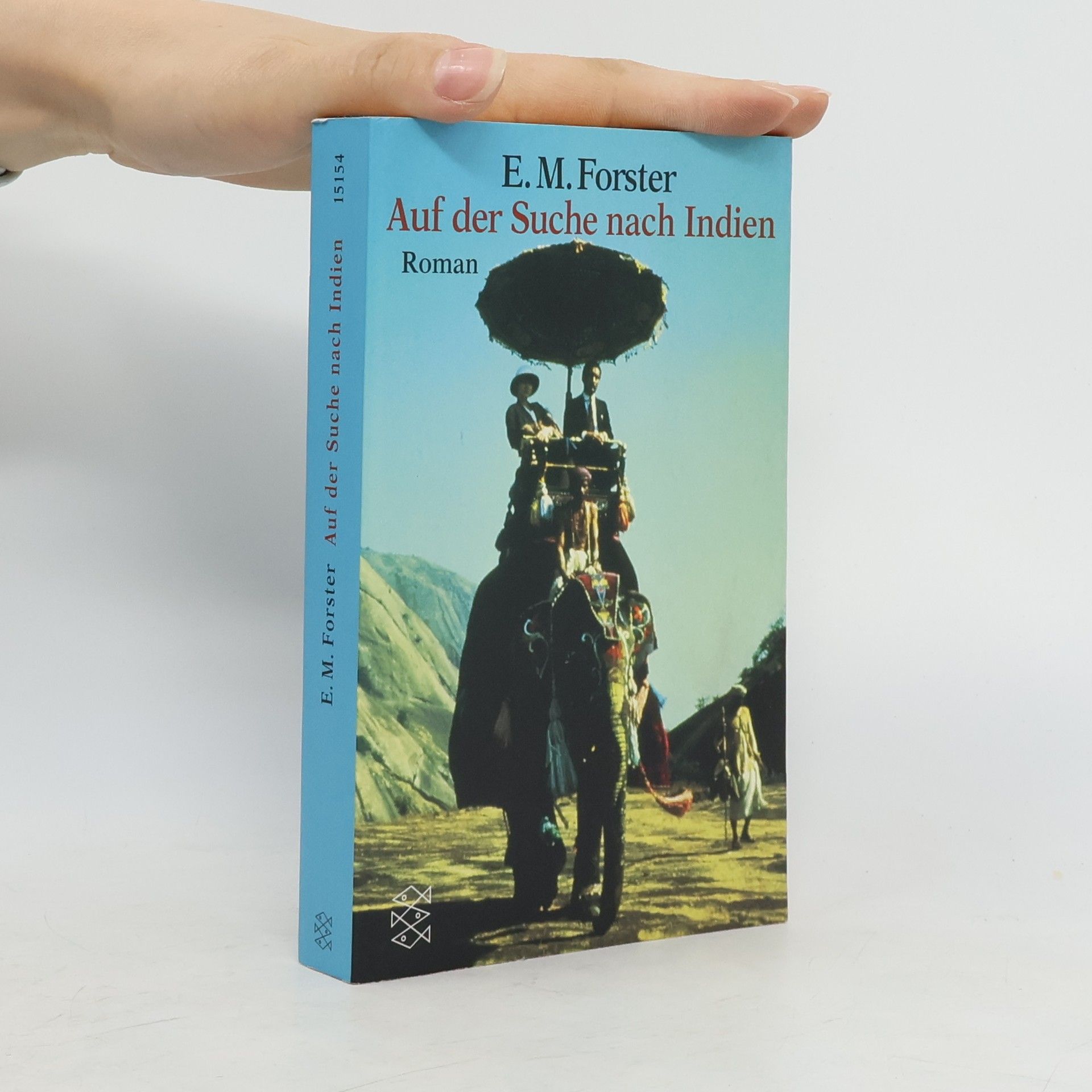 Wolfgang von Einsiedel Auf der Suche nach Indien : Roman