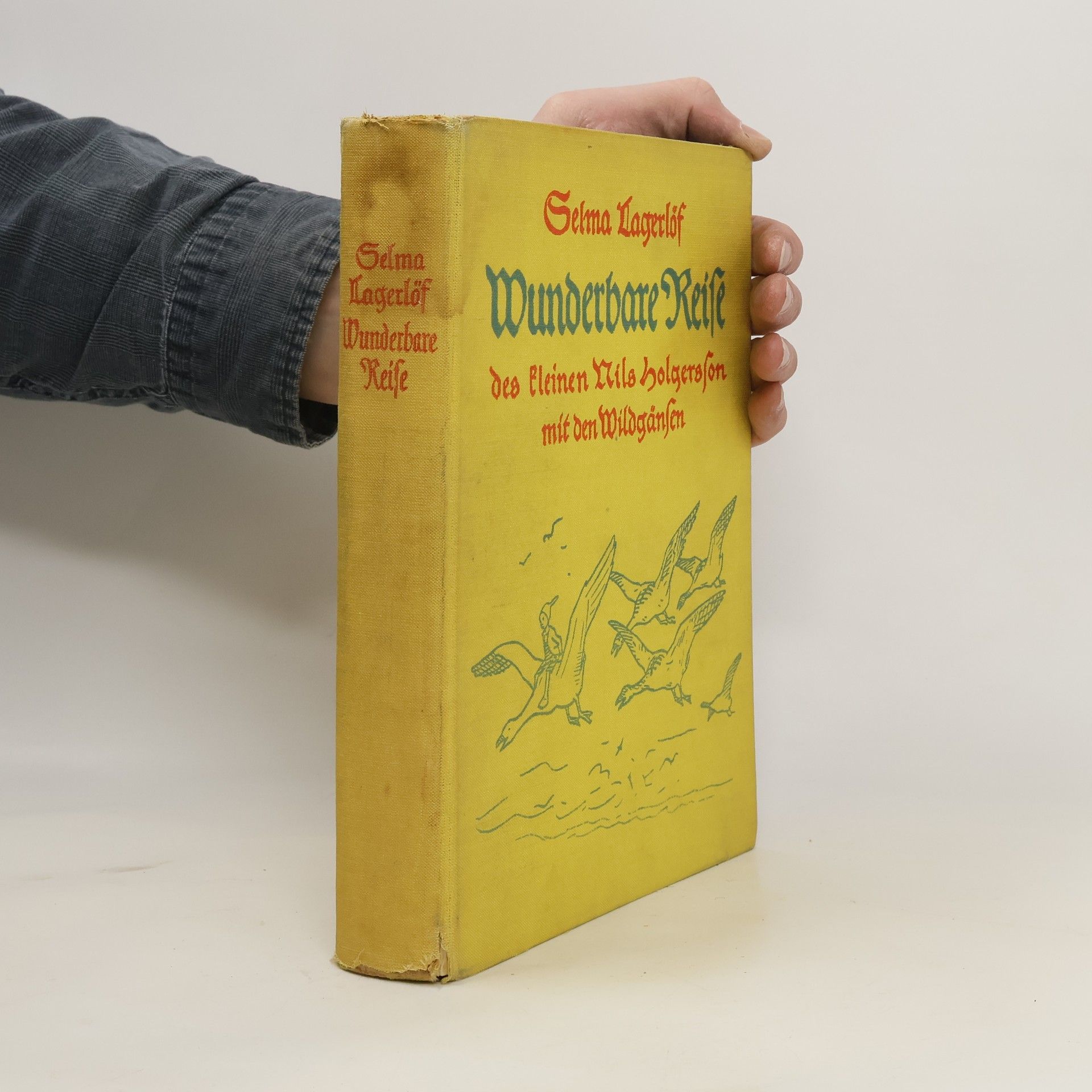 Selma Lagerlöf Wunderbare Reise. Des kleinen Nils Holgersson mit den Wildgänsen