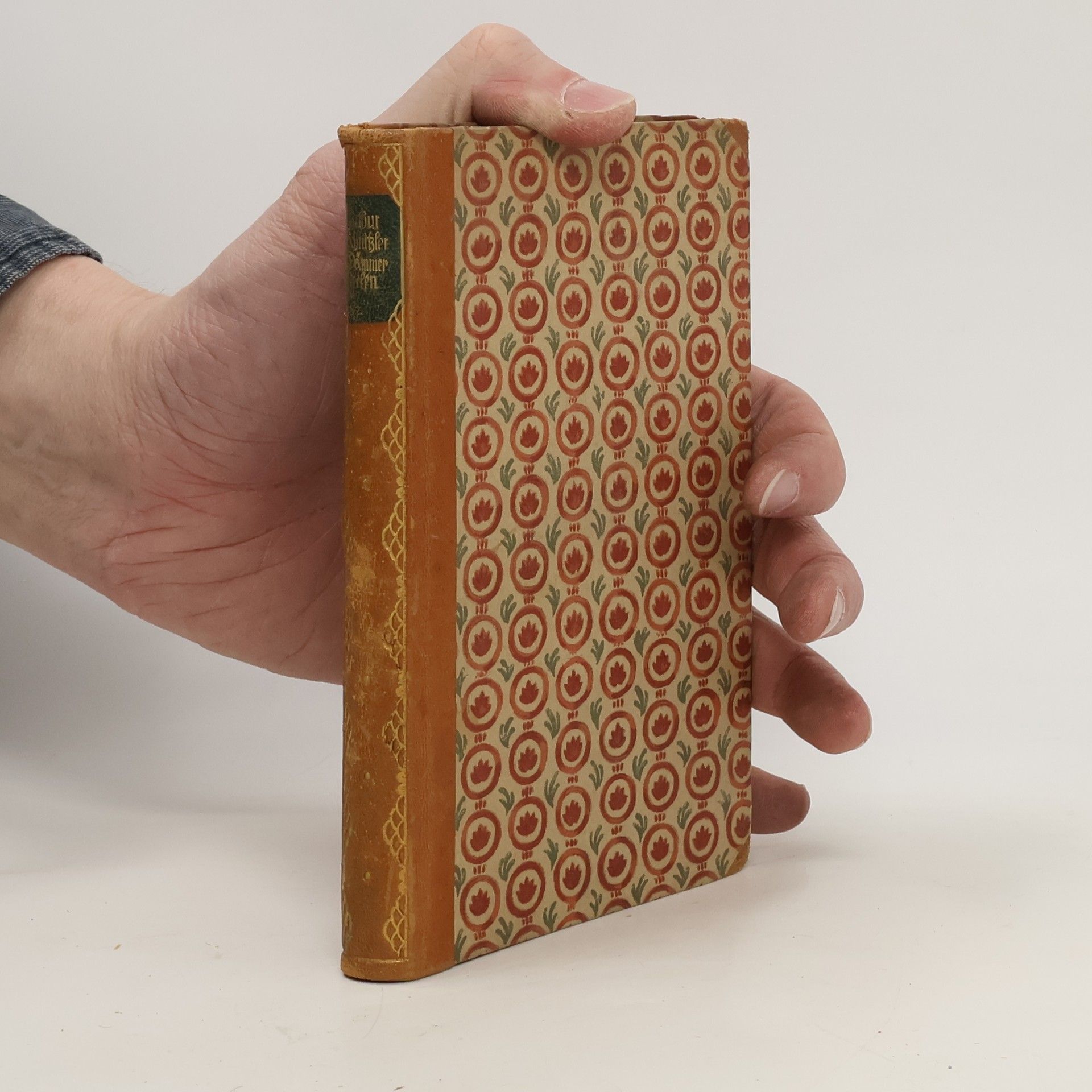 Arthur Schnitzler Dämmerseelen: Novellen