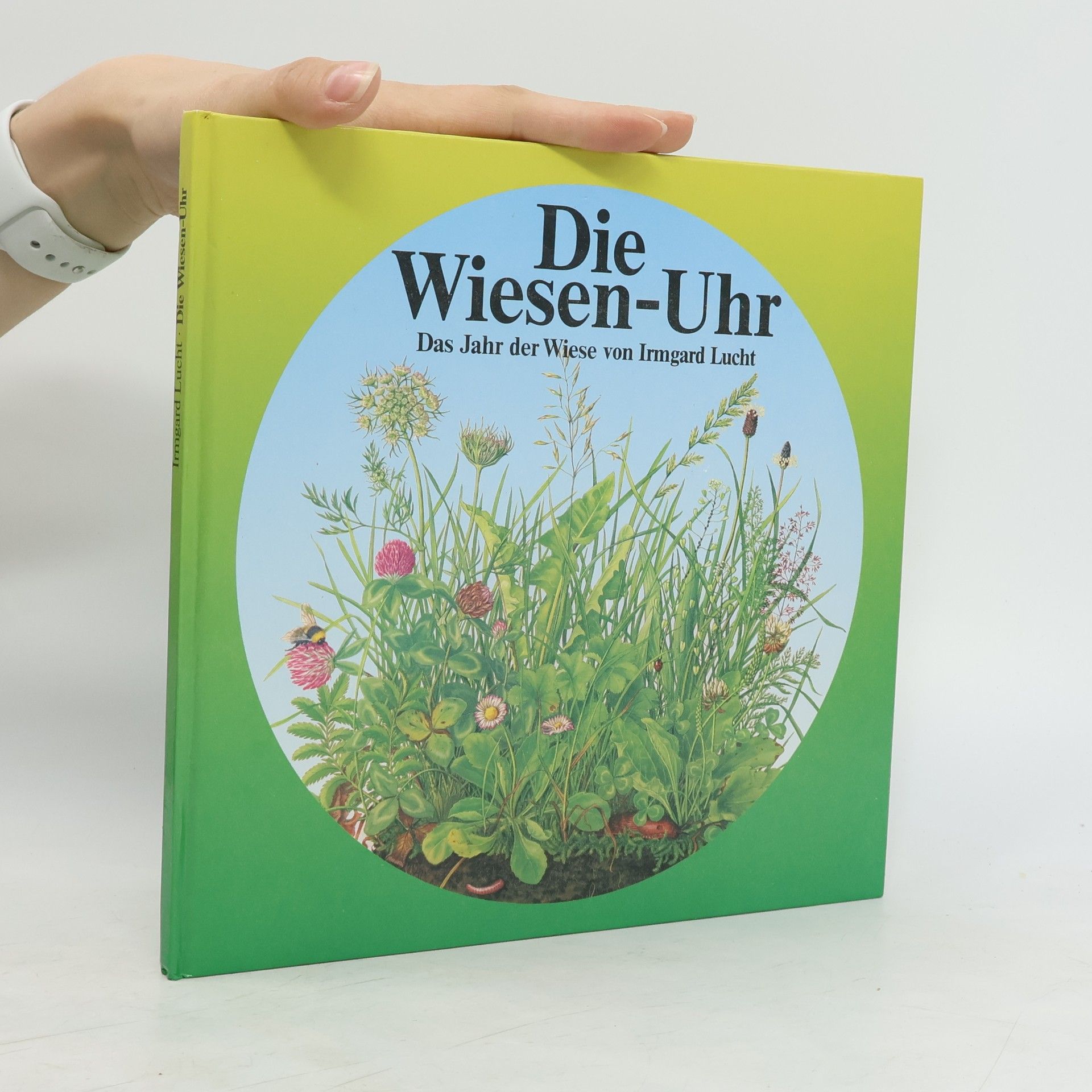 Irmgard Lucht Die Wiesen-Uhr