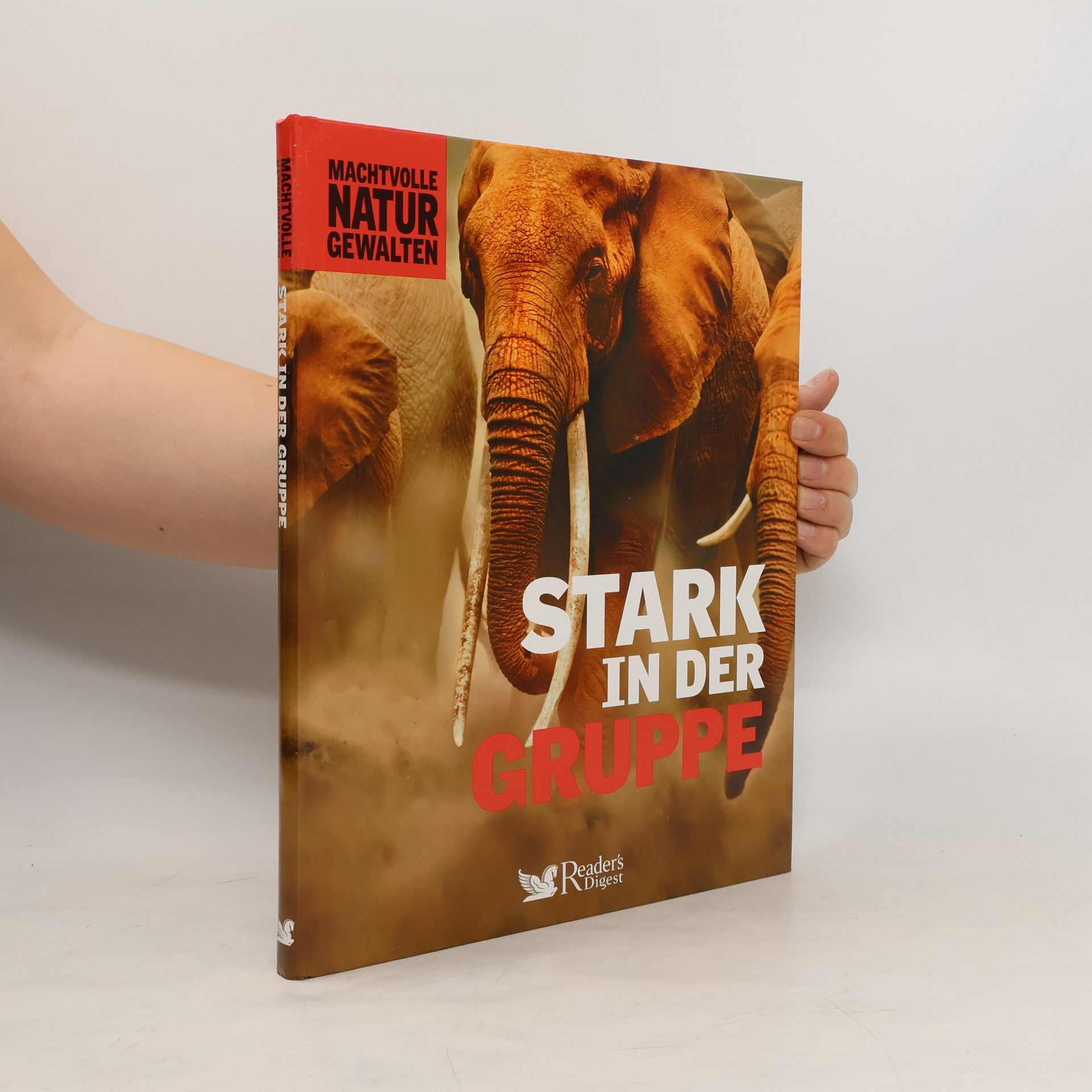 Falko Spiller Stark in der Gruppe