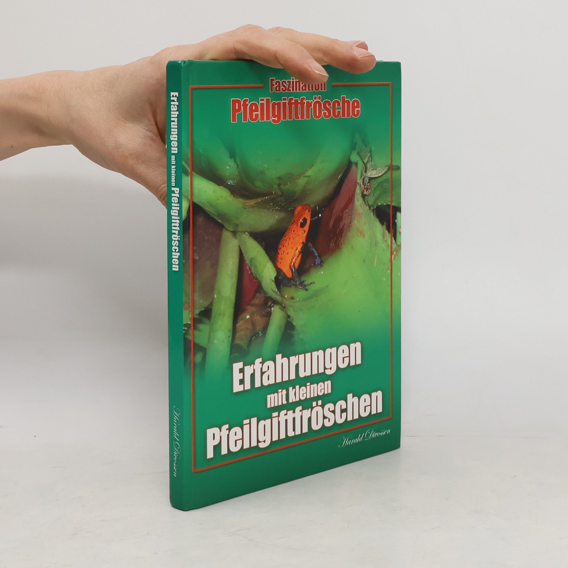 Faszination Pfeilgiftfrösche - Erfahrungen mit kleinen Pfeilgiftfröschen