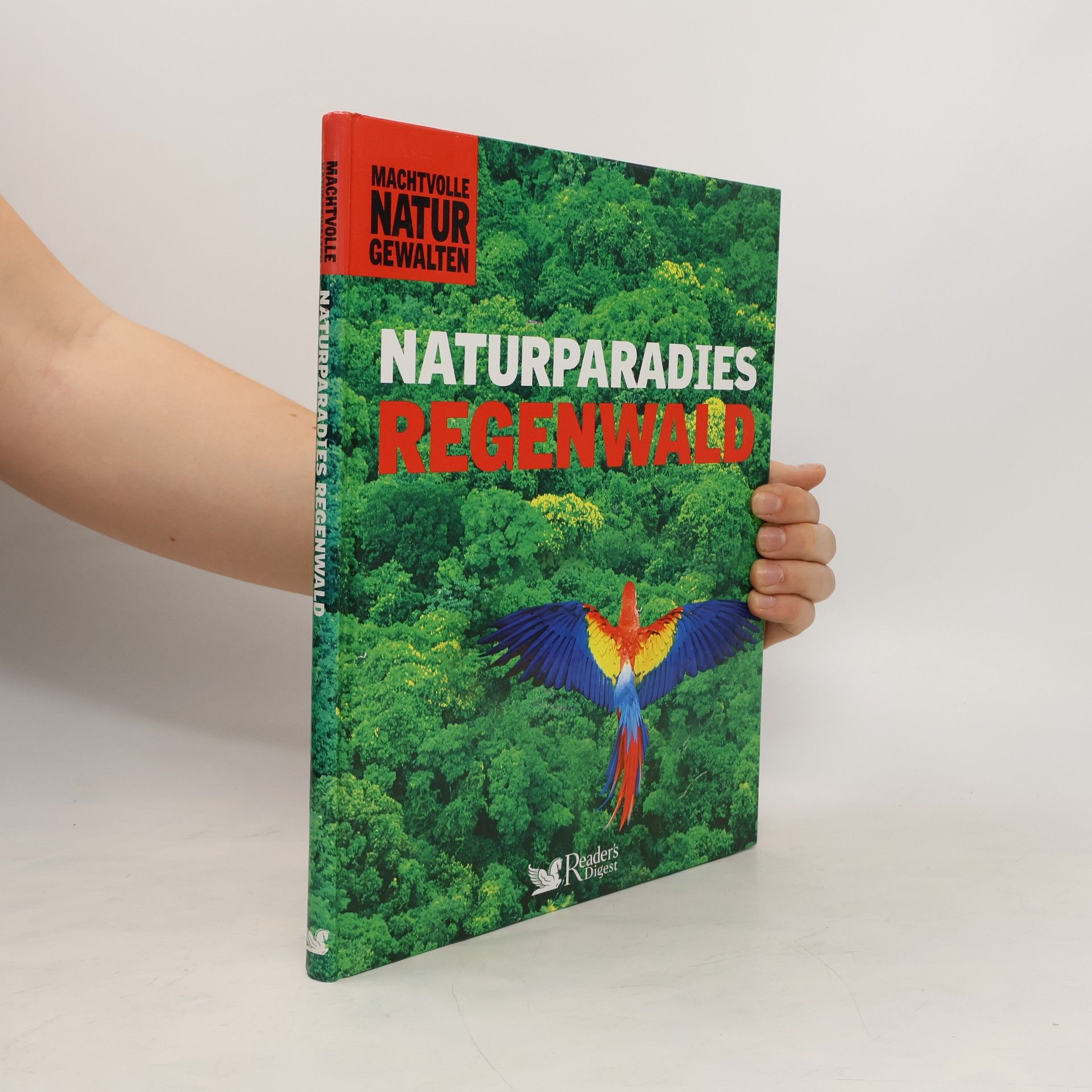 Naturparadies Regenwald