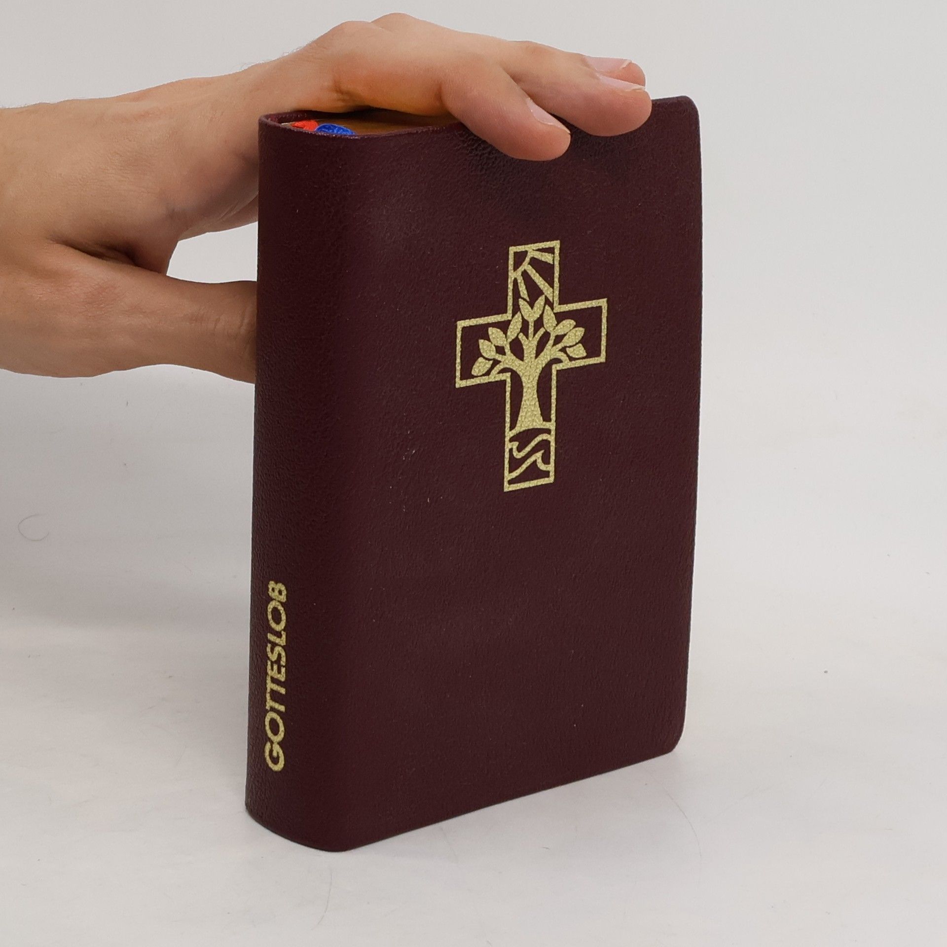 Autores varios Gotteslob