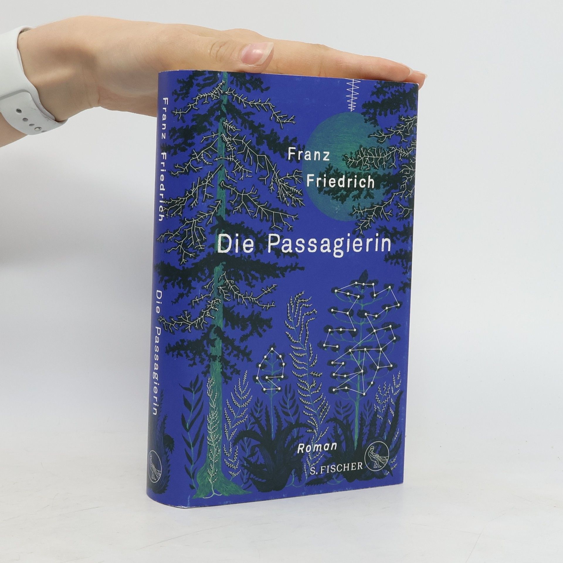 Franz Friedrich Die Passagierin