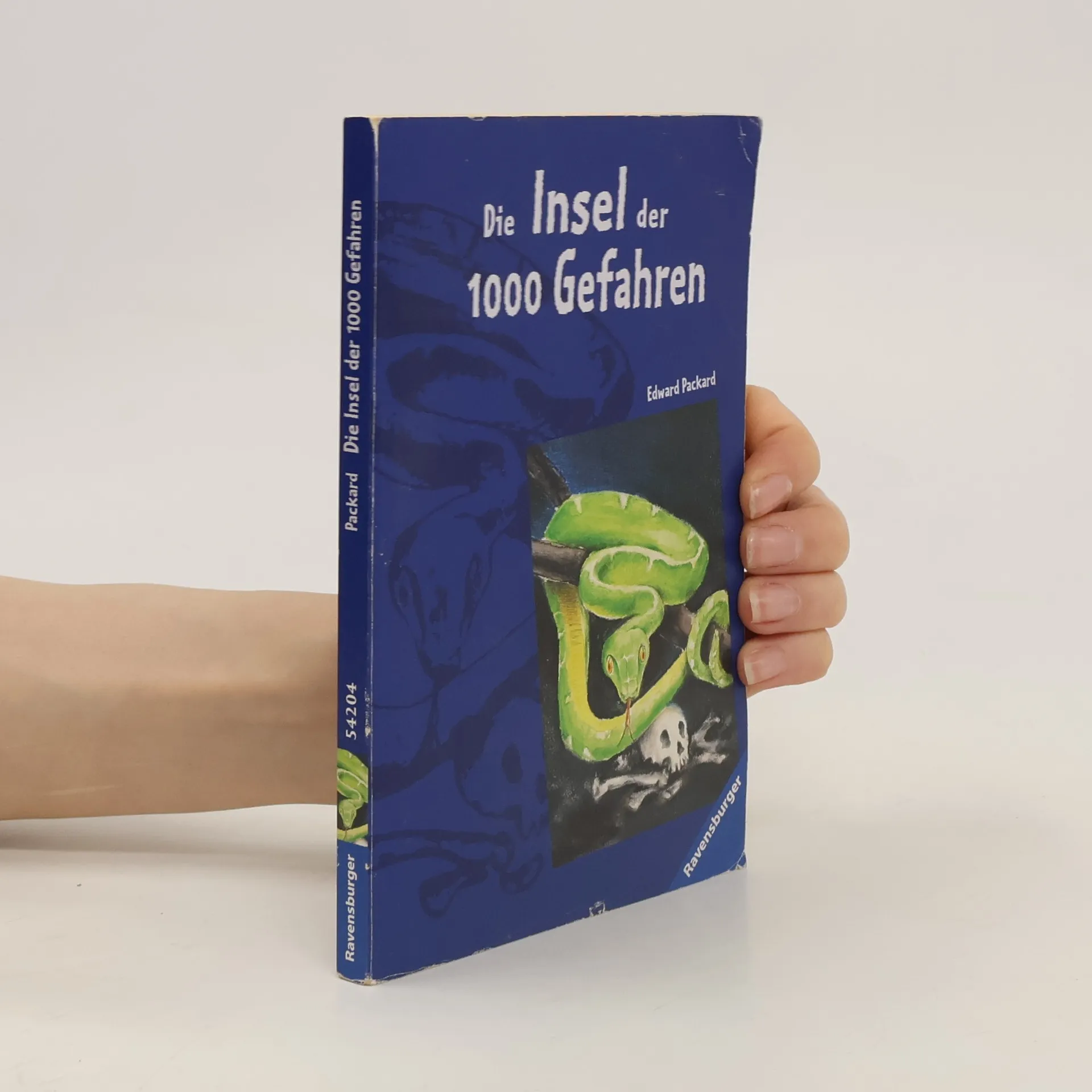 Die Insel der 1000 Gefahren | Book | Edward Packard | DE