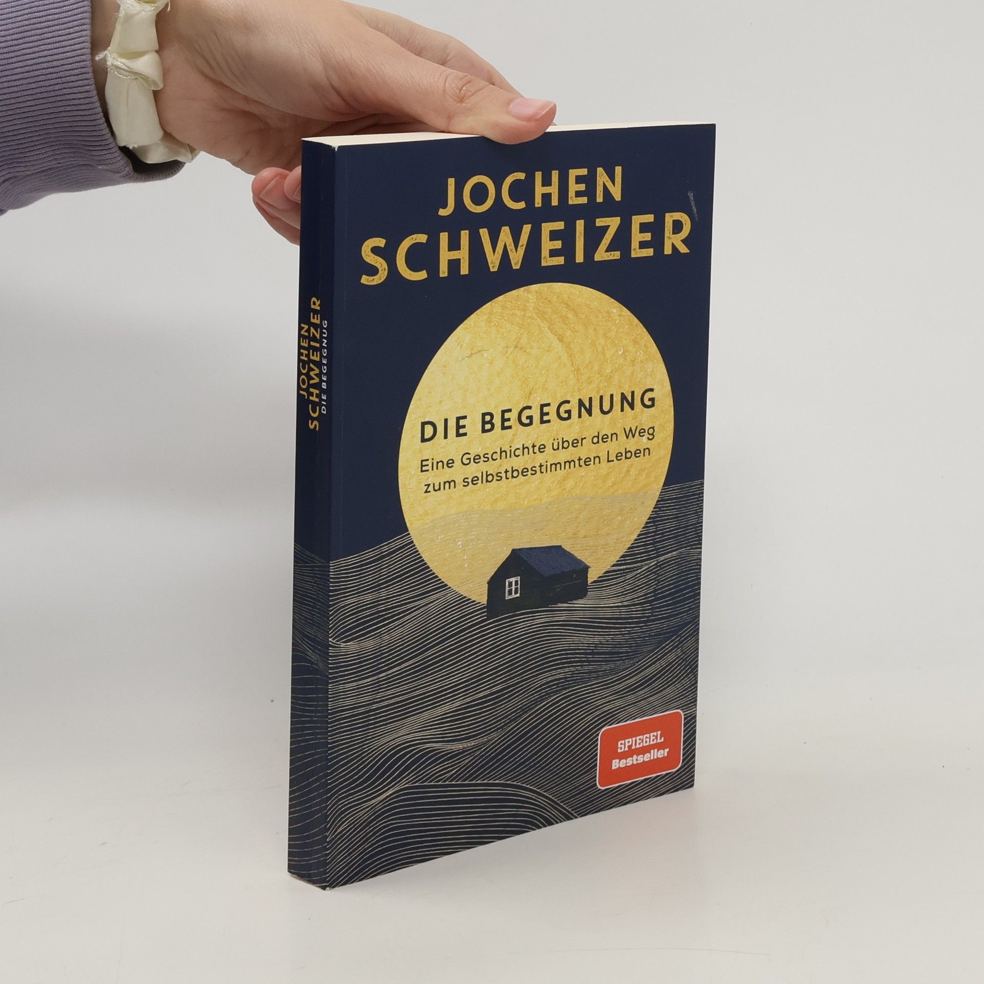 Jochen Schweitzer Die Begegnung