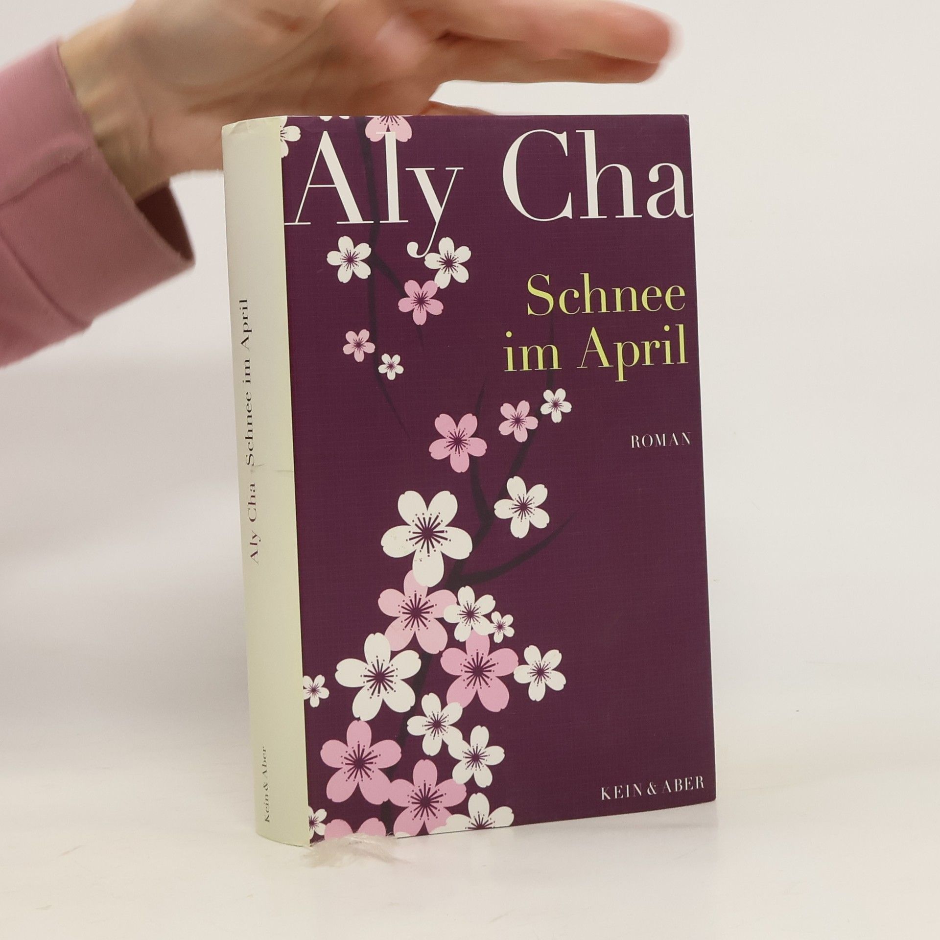 Aly Cha Schnee im April
