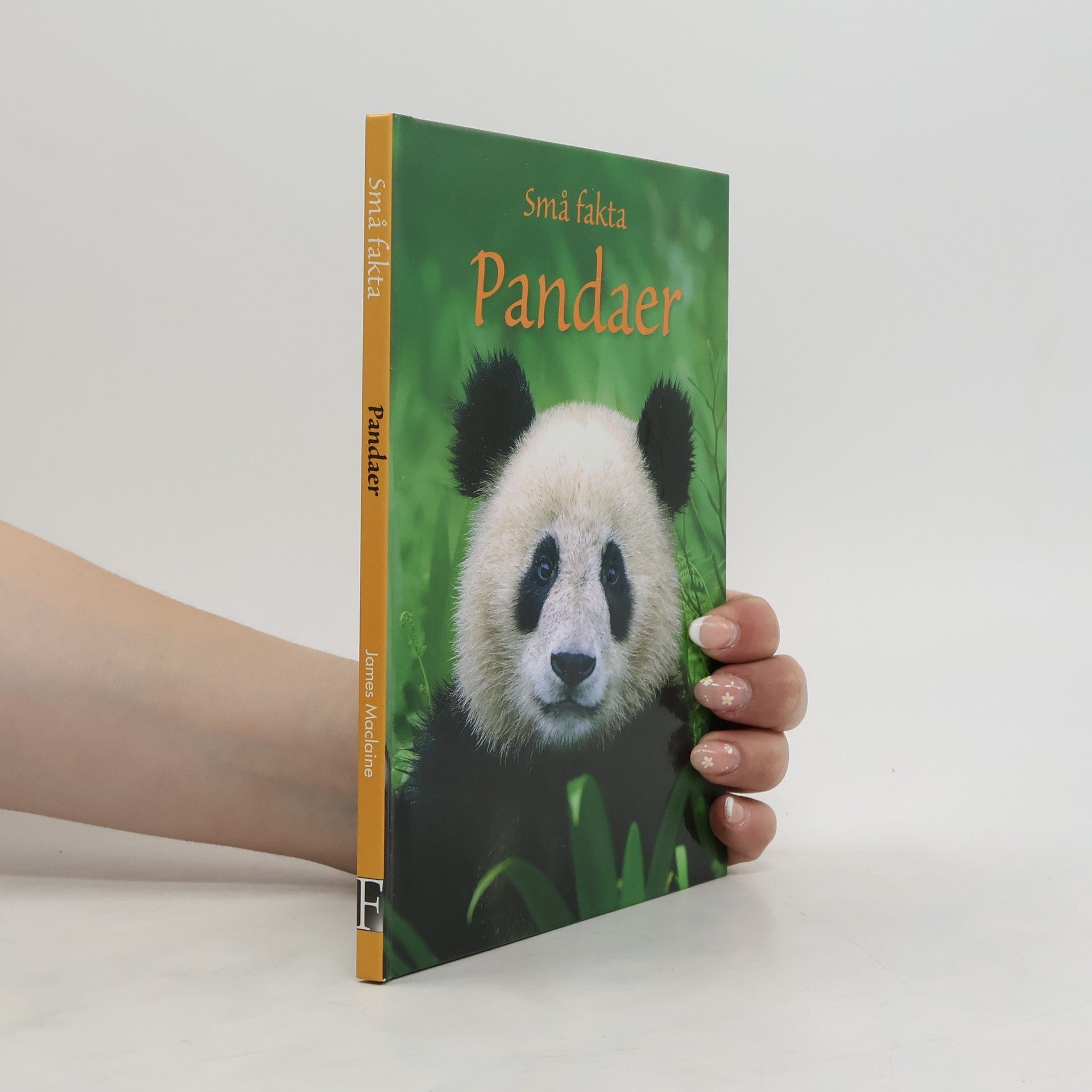 James Maclaine Pandaer