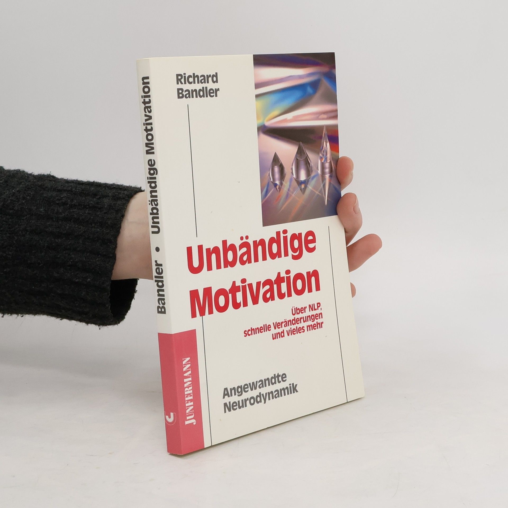 Richard Bandler Unbändige Motivation