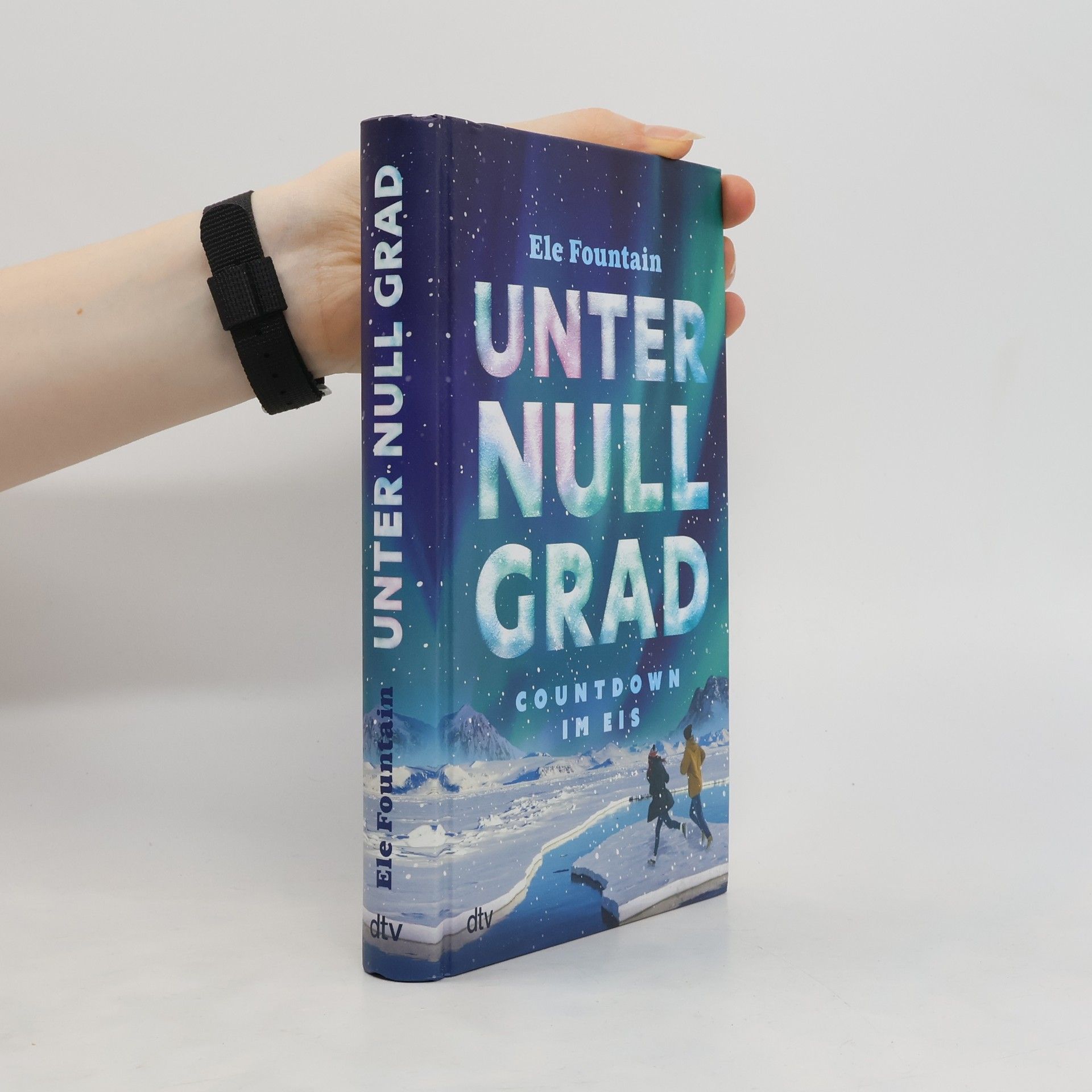 Ele Fountain Unter Null Grad - Countdown im Eis