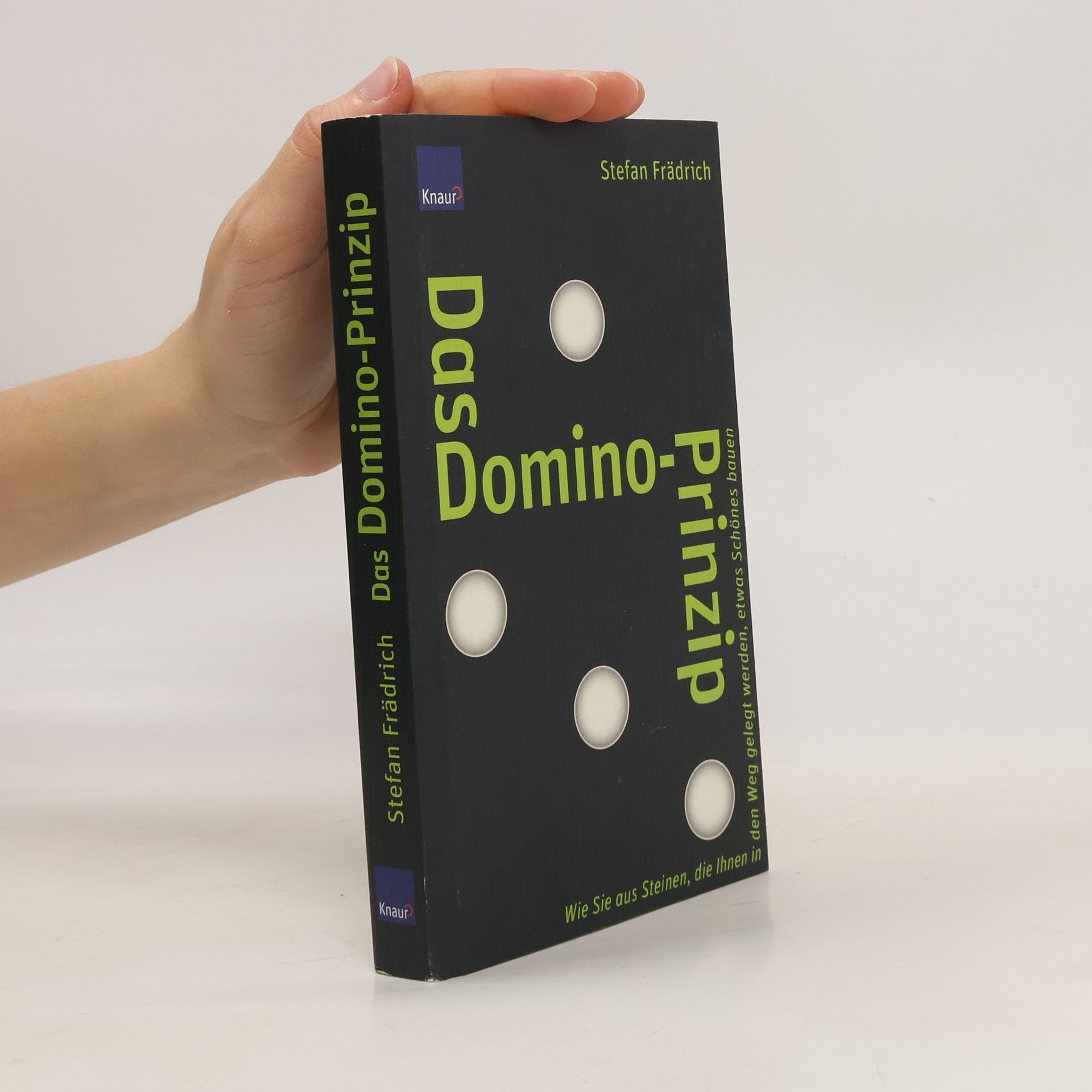 Stefan Frädrich Das Domino-Prinzip
