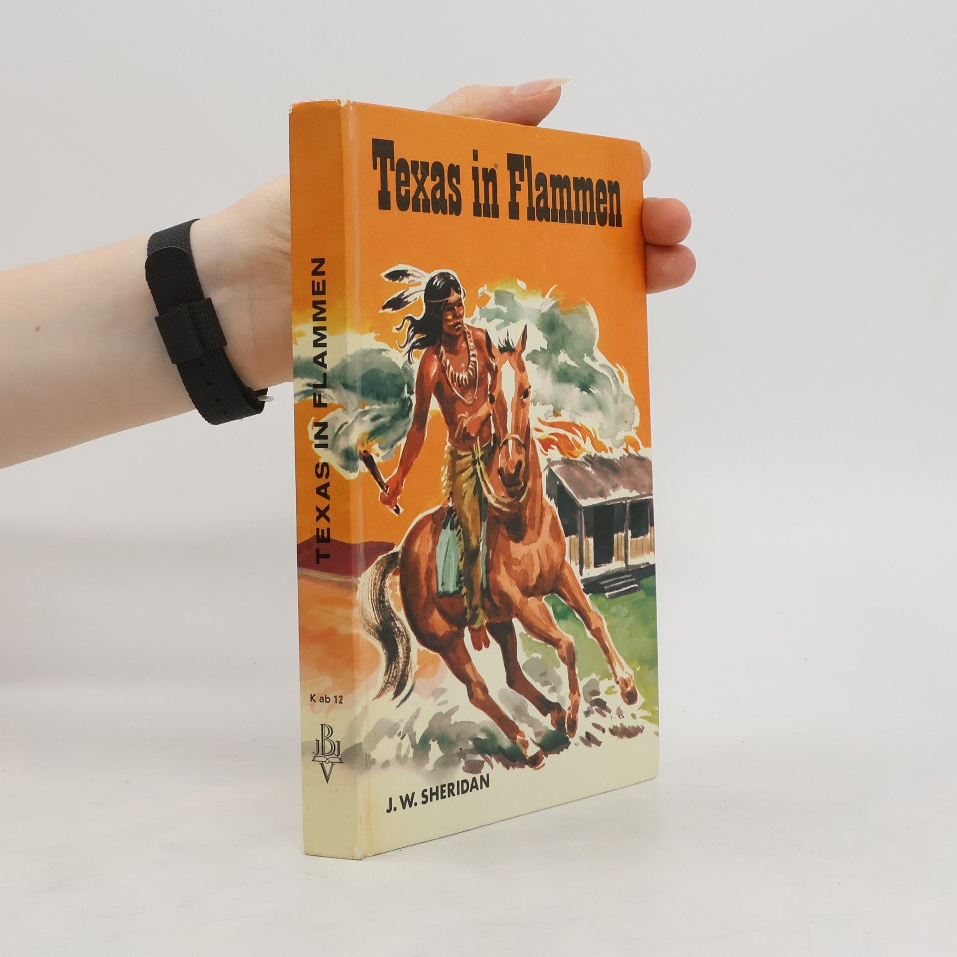 J. W. Sheridan Texas in Flammen