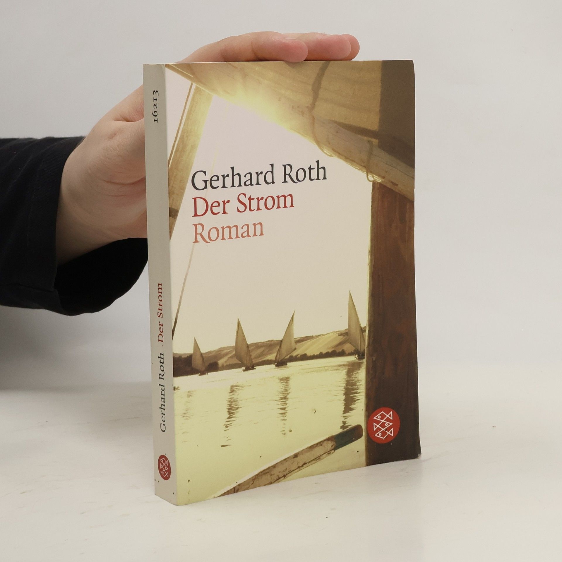 Gerhard Roth Der Strom