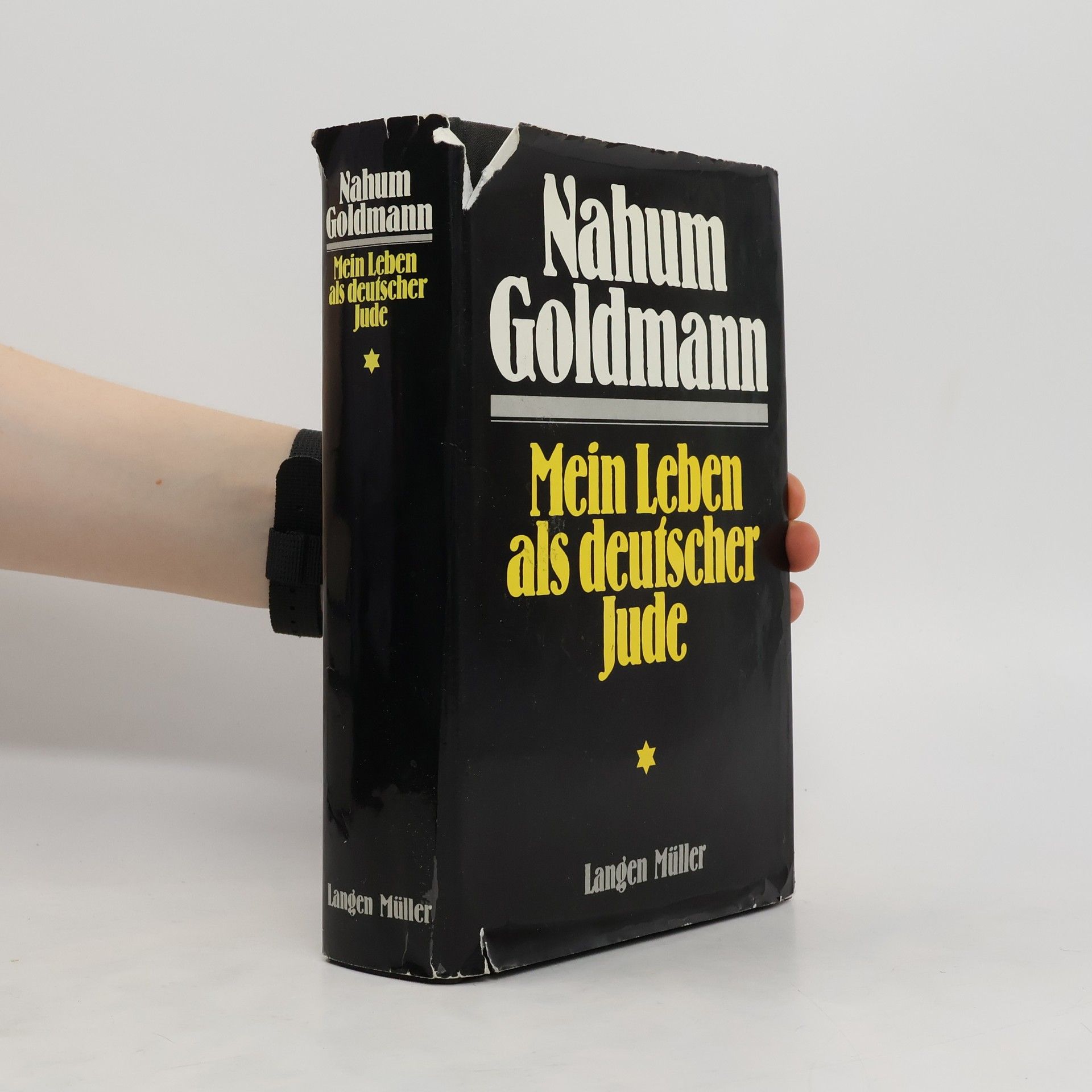 Nahum Goldmann Mein Leben als deutscher Jude