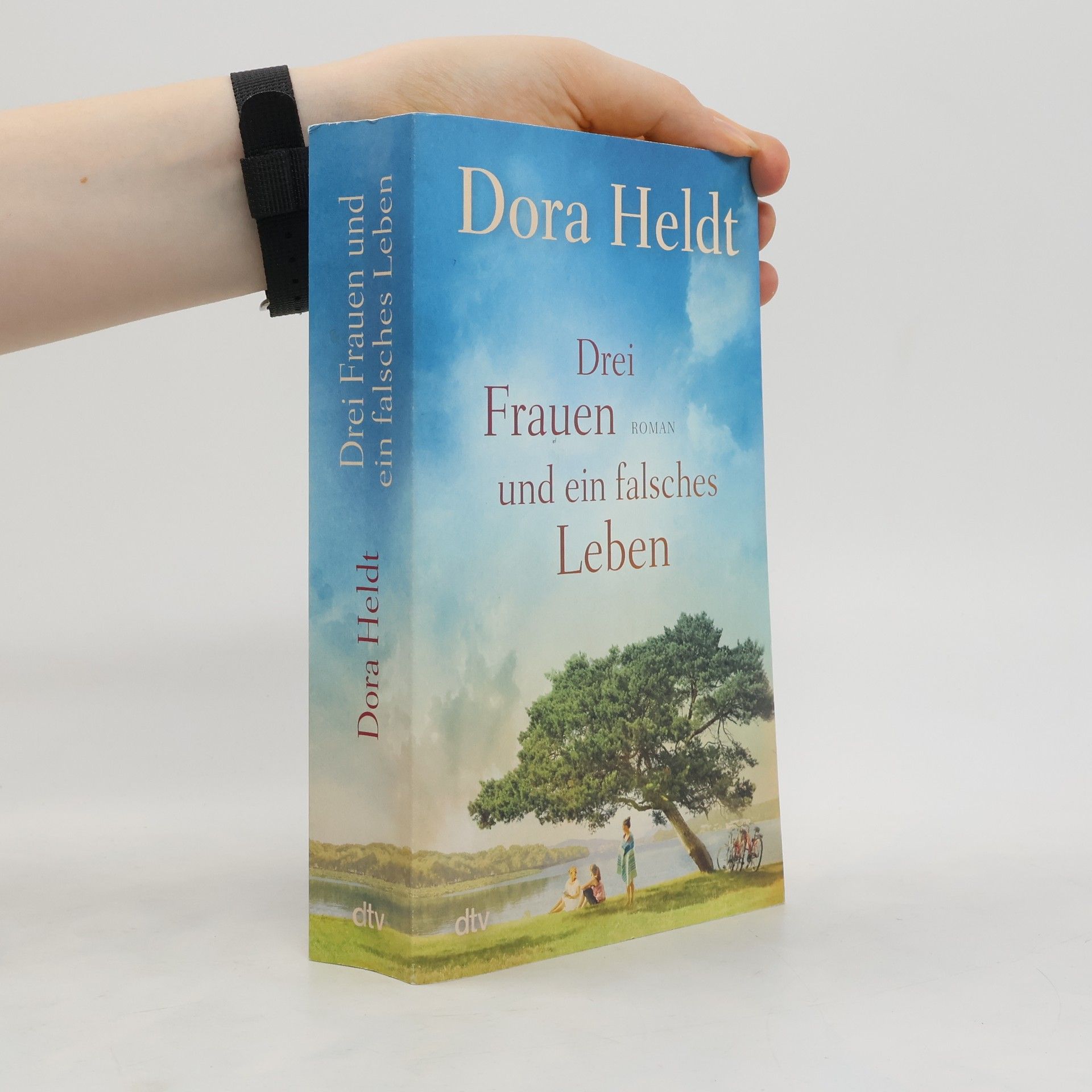 Dora Heldt Drei Frauen und ein falsches Leben
