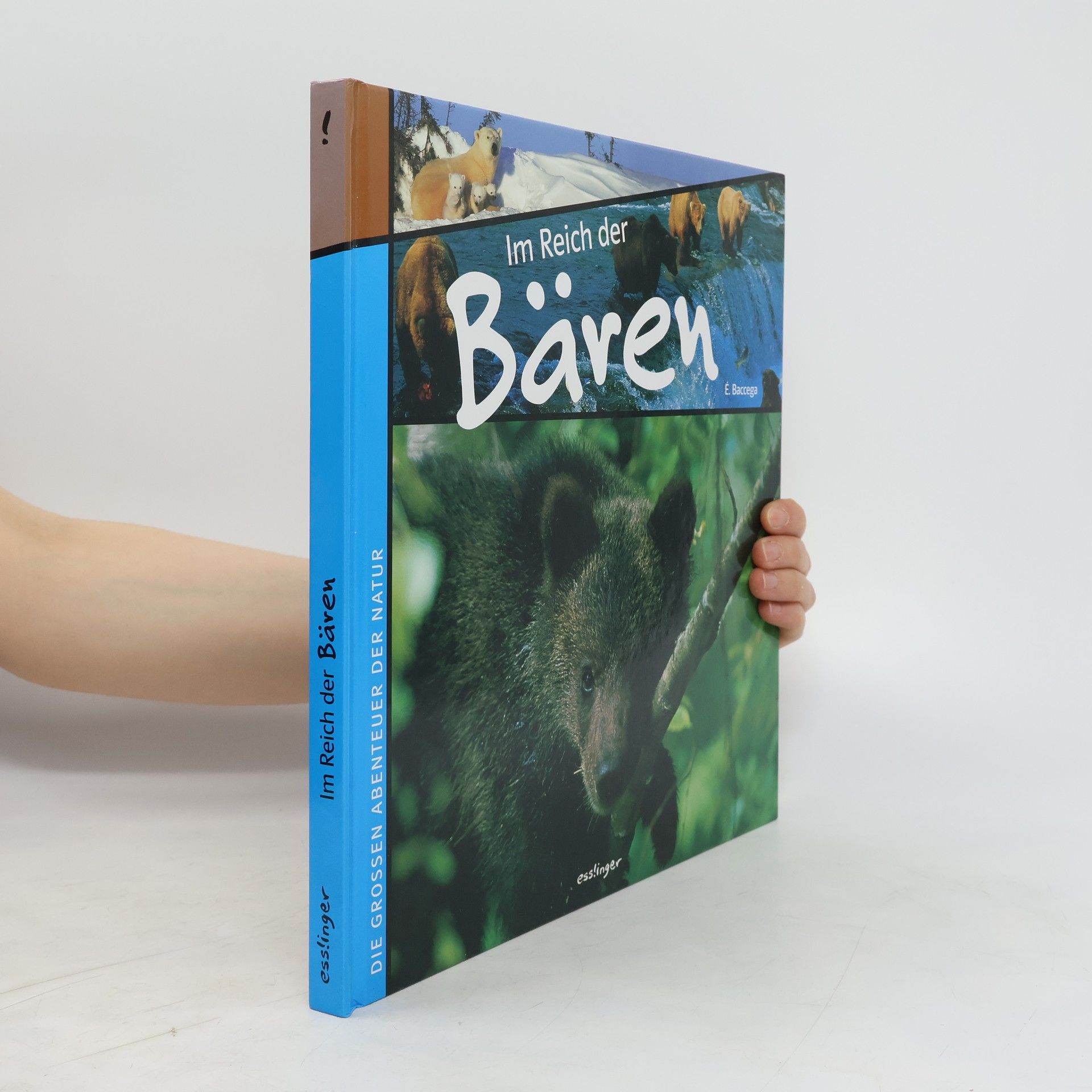 Eric Baccega Im Reich der Bären