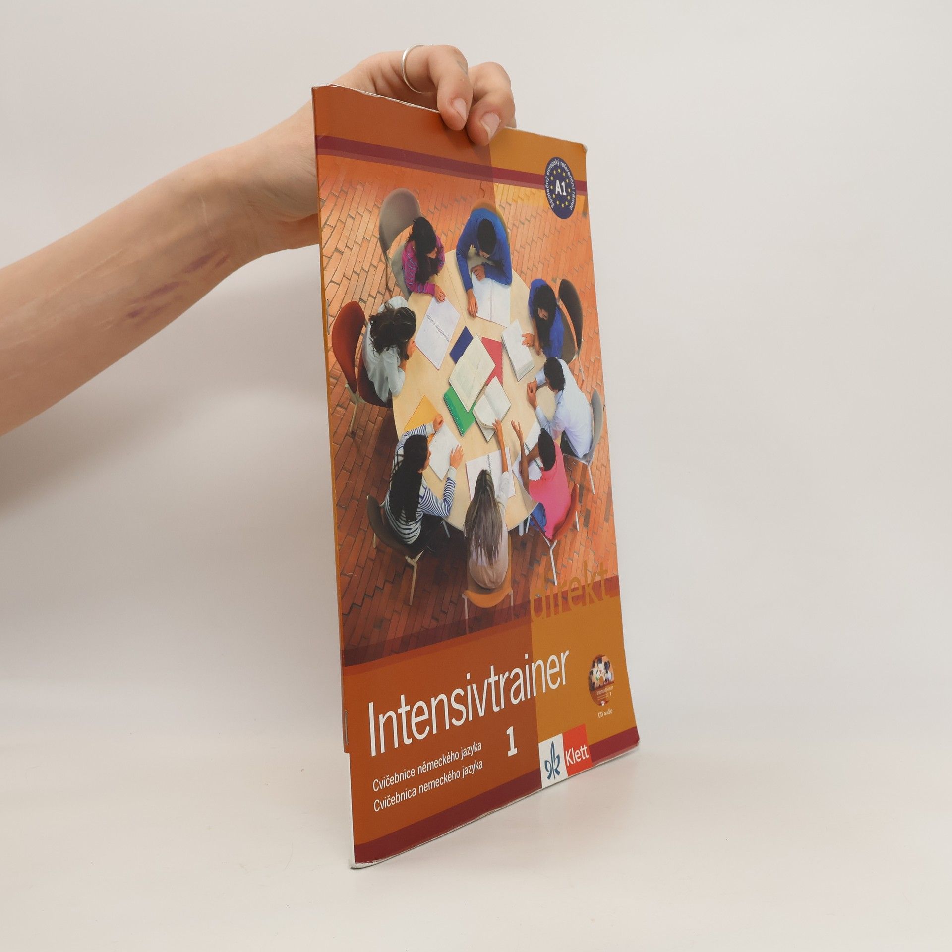 Collective Direkt neu 1 (A1-A2) Intensivtrainer