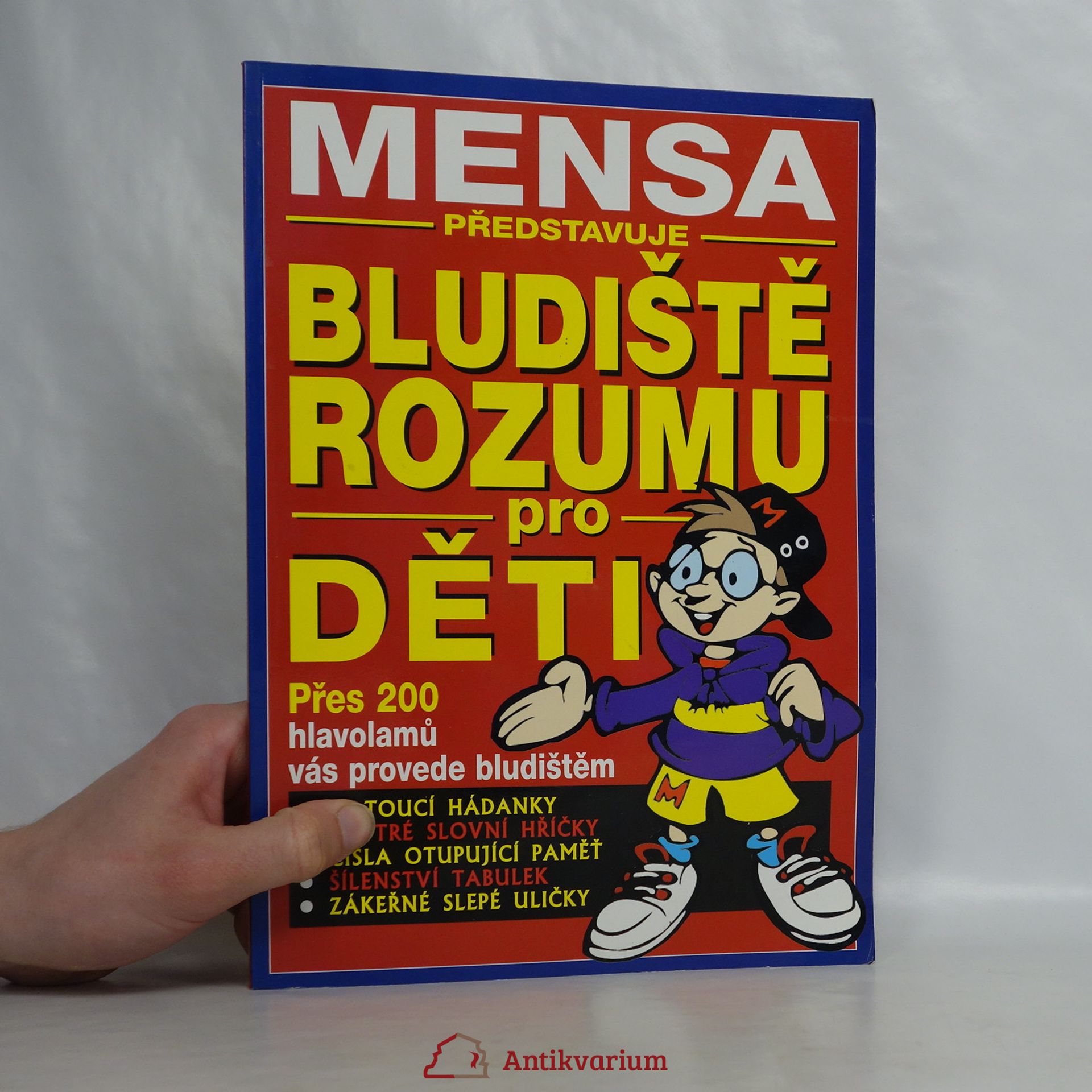 Robert C. Allen Mensa představuje bludiště rozumu pro děti