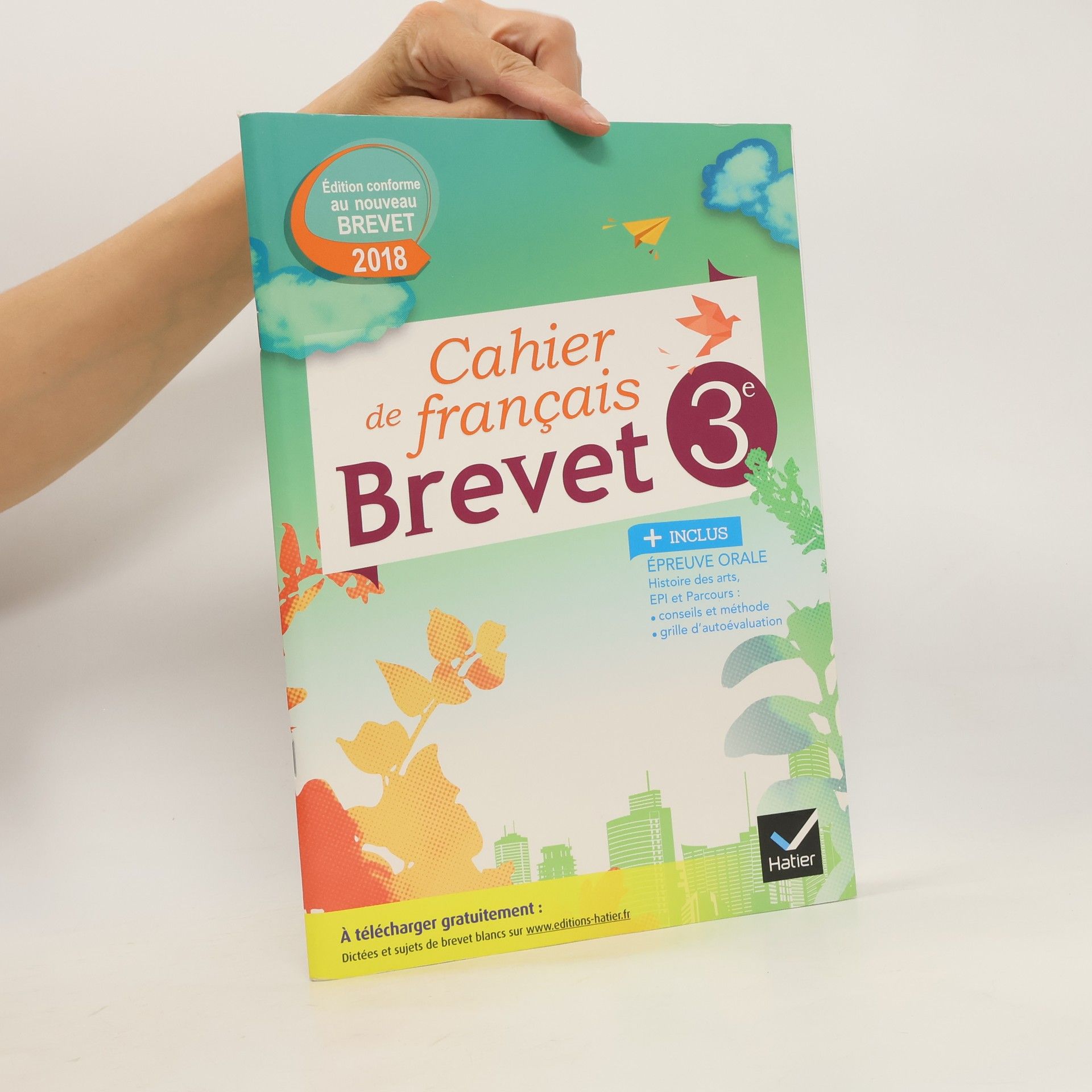 Autorenkollektiv Brevet 3e. Cahier de francais