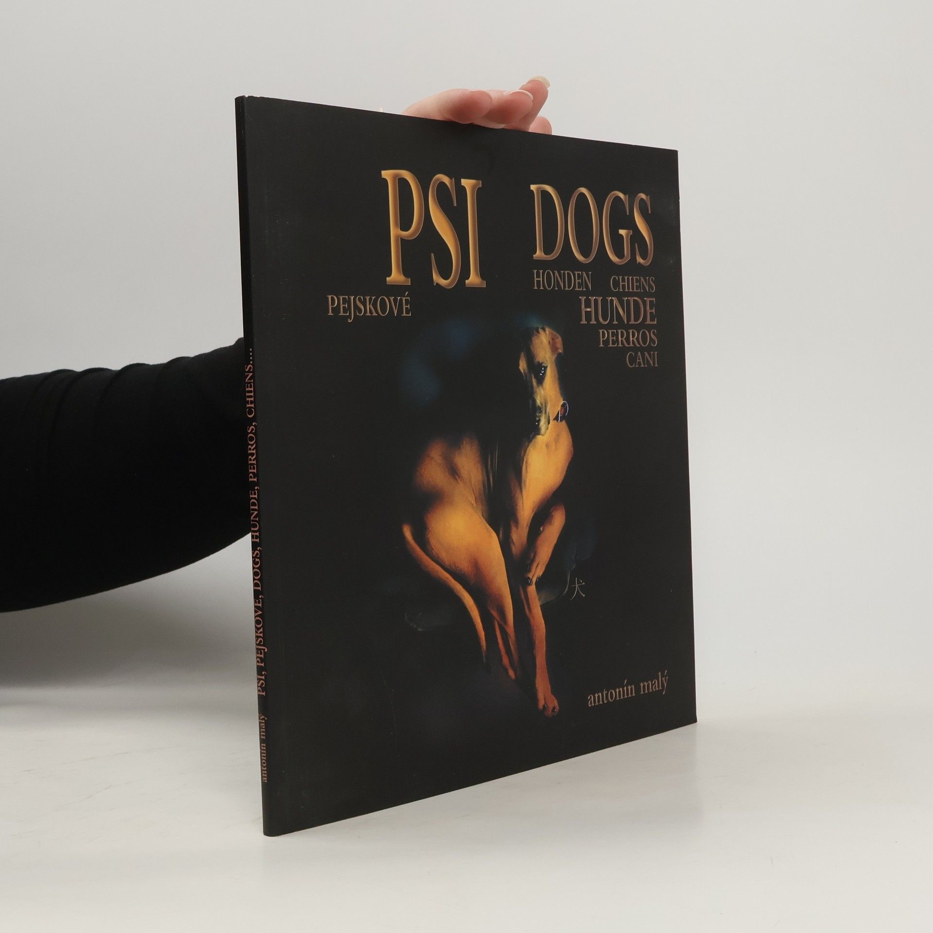 Antonín Malý Psi, Pejskové, Dogs, Hunde, Perros, Chiens
