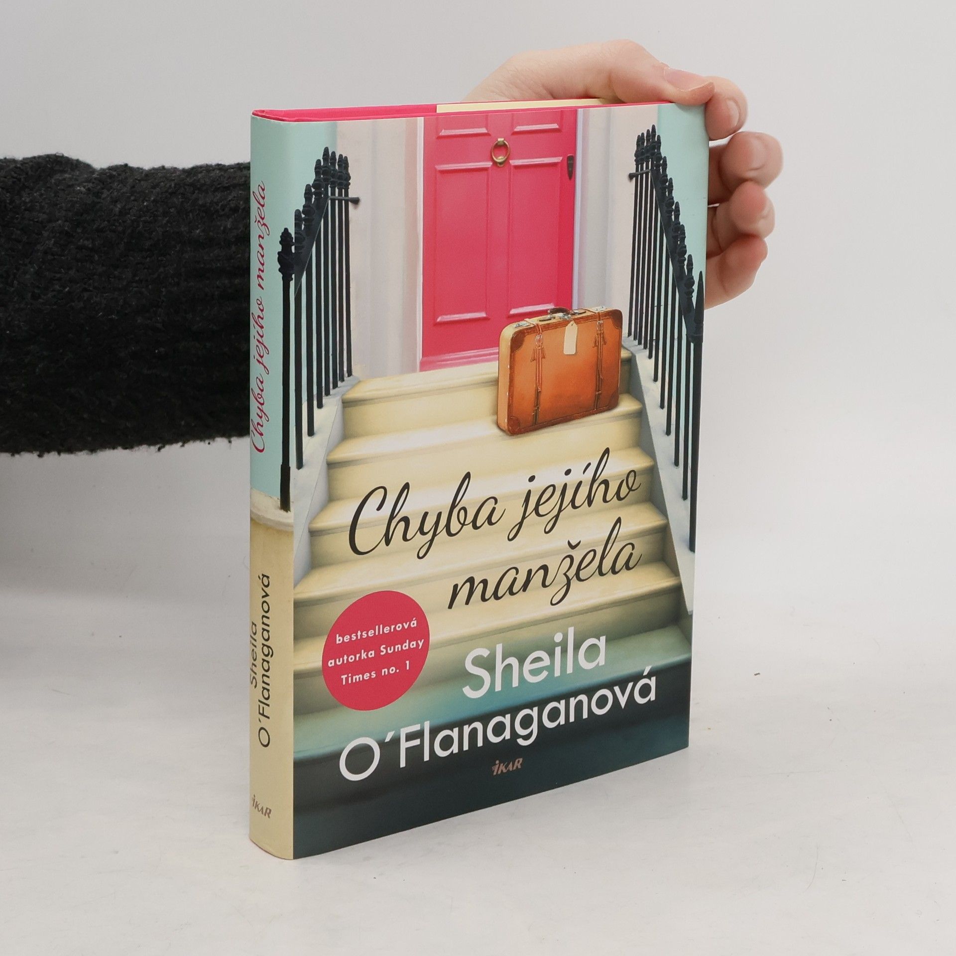 Sheila O'Flanagan Chyba jejího manžela