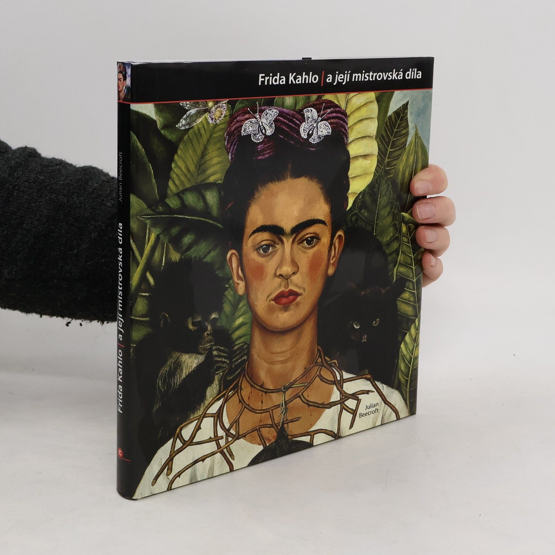 Julian Beecroft Frida Kahlo a její mistrovská díla
