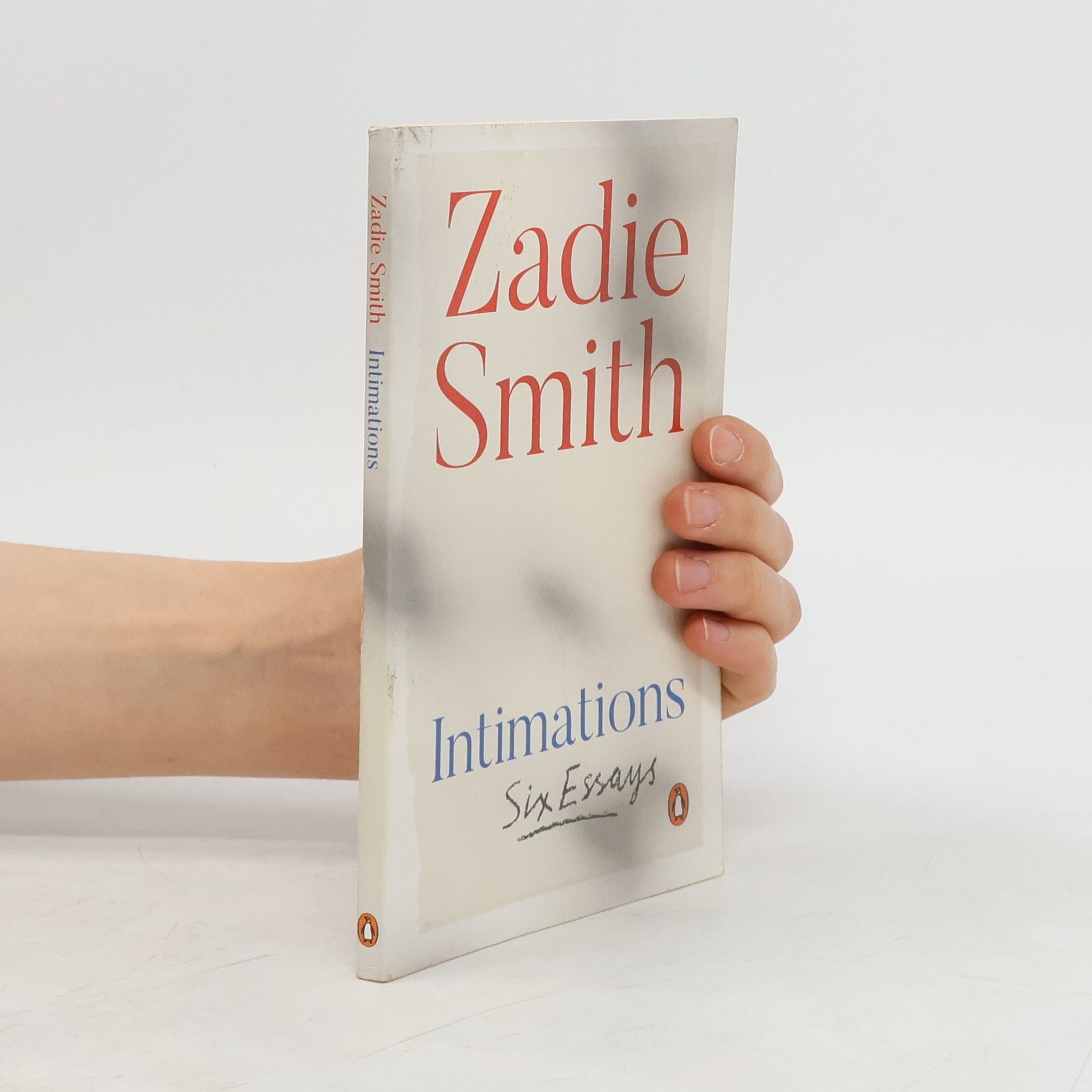 Zadie Smith Intimations : six essays