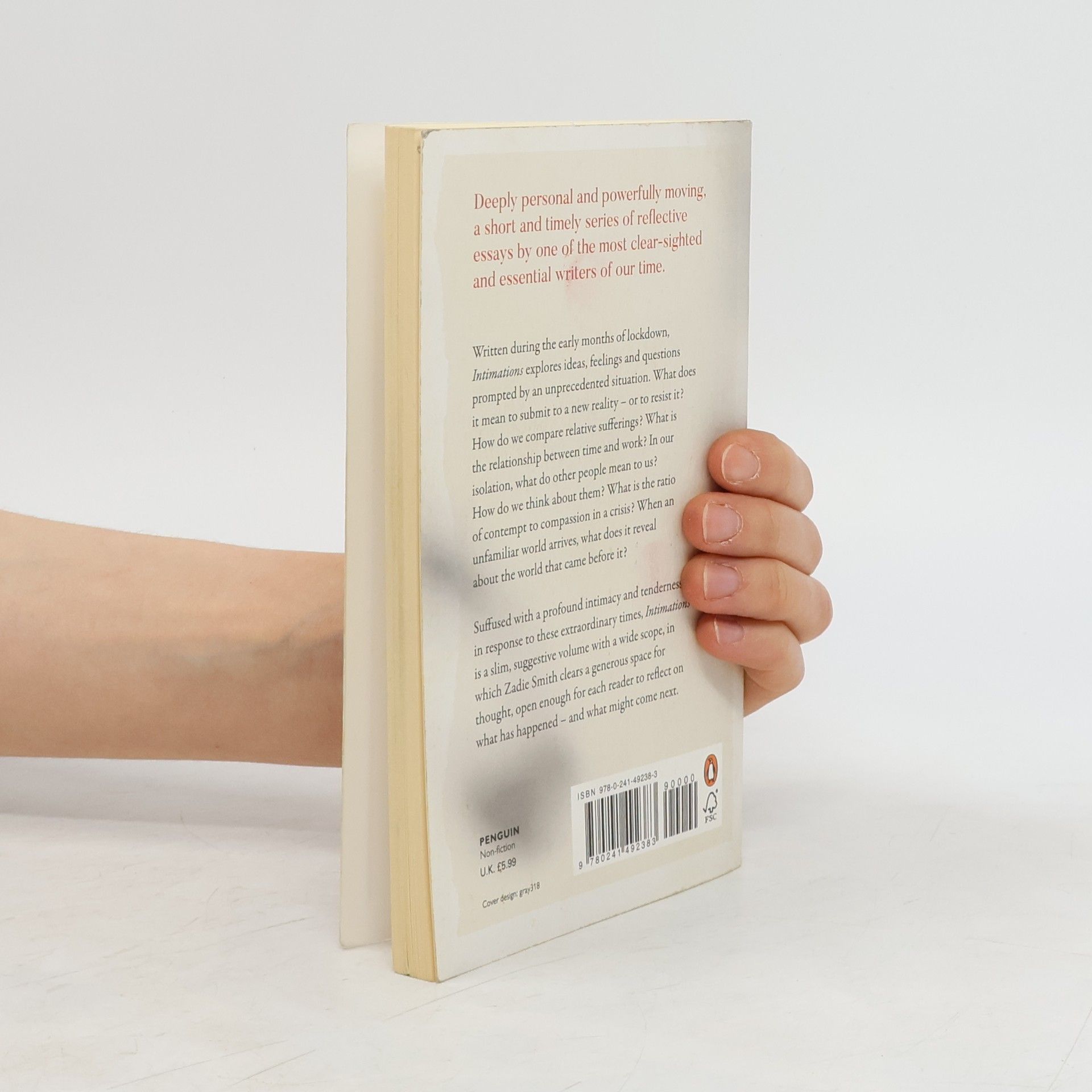 Zadie Smith Intimations : six essays