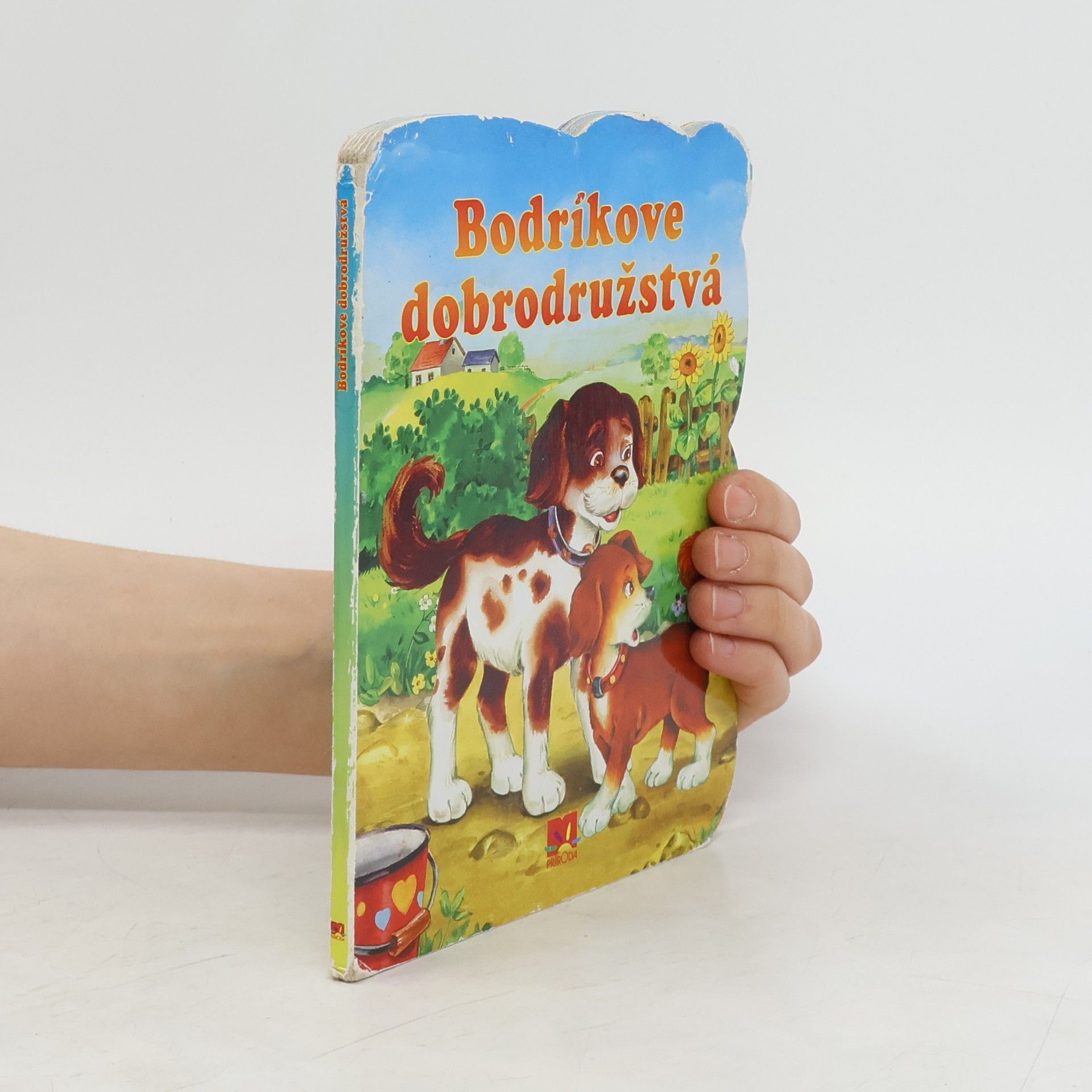Táňa Pastorková Bodríkove dobrodružstvá