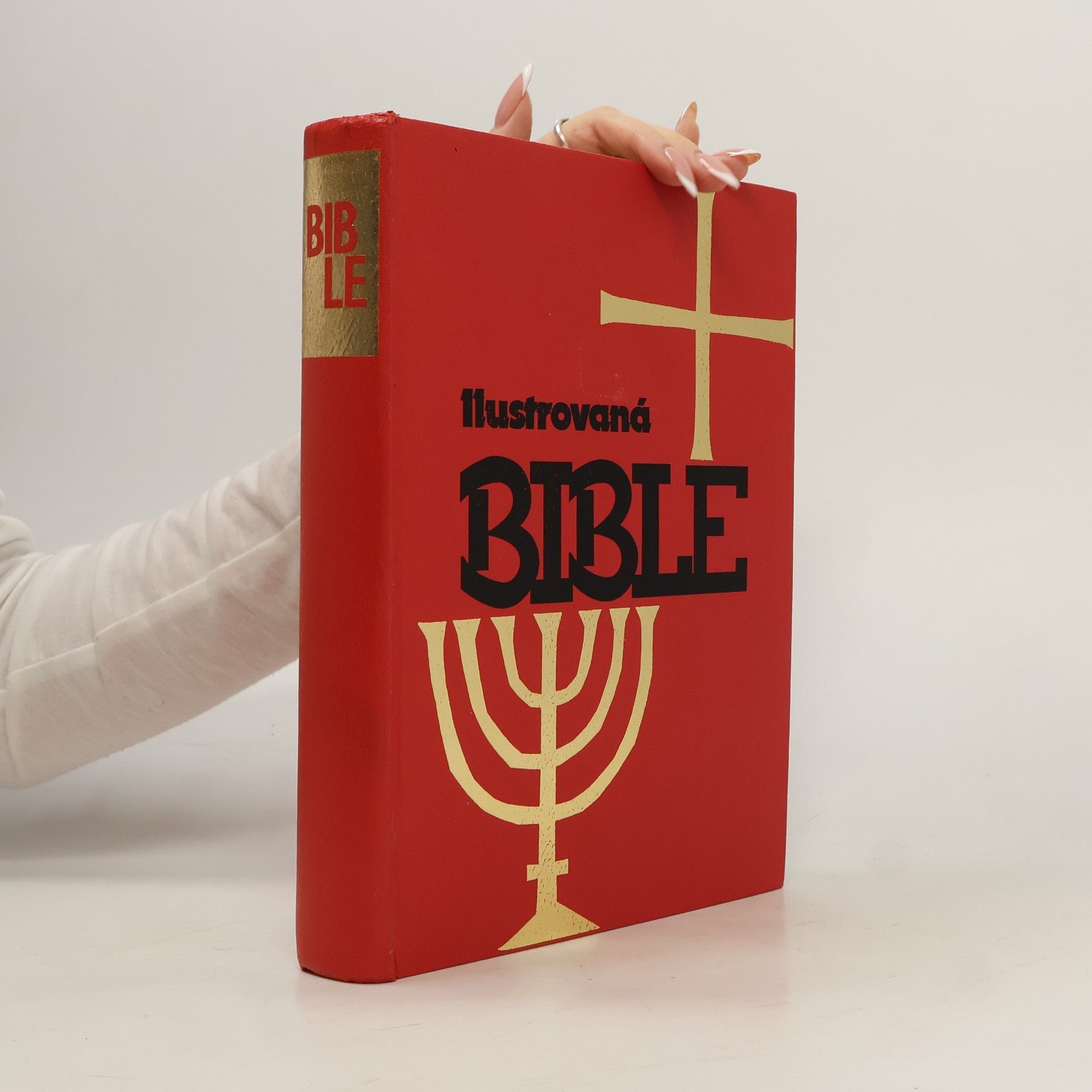 Kolektiv autorů Ilustrovaná Bible