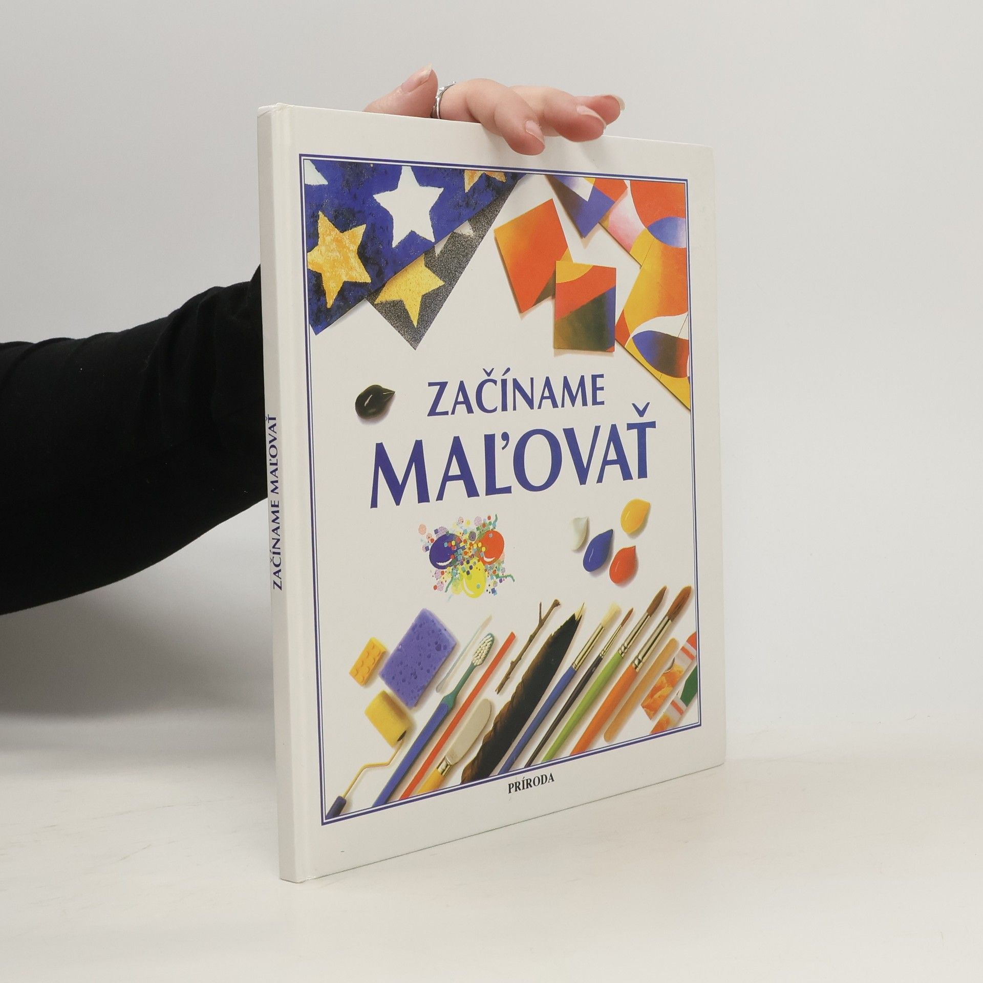 Susan Mayes Začíname maľovať