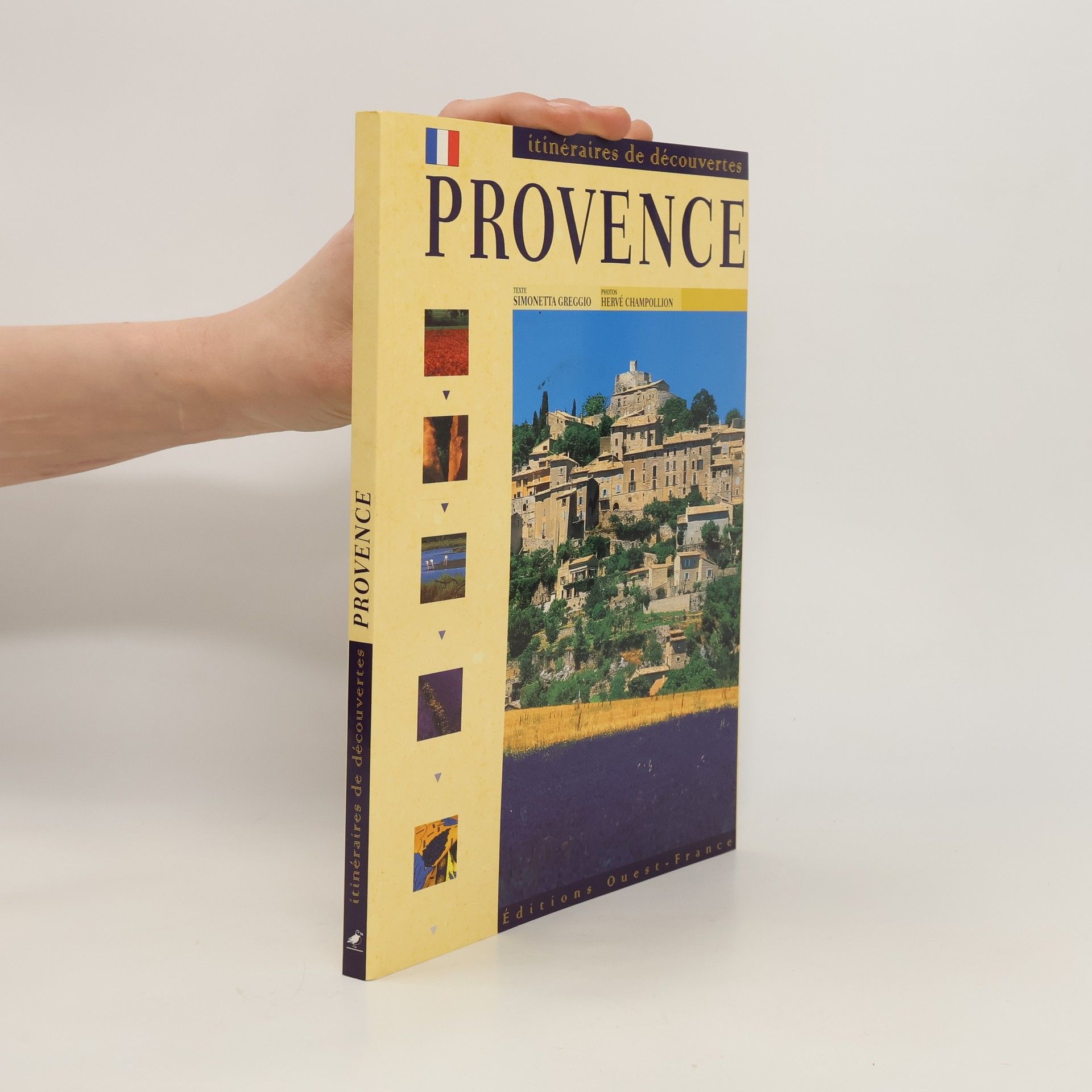 Simonetta Greggio Provence