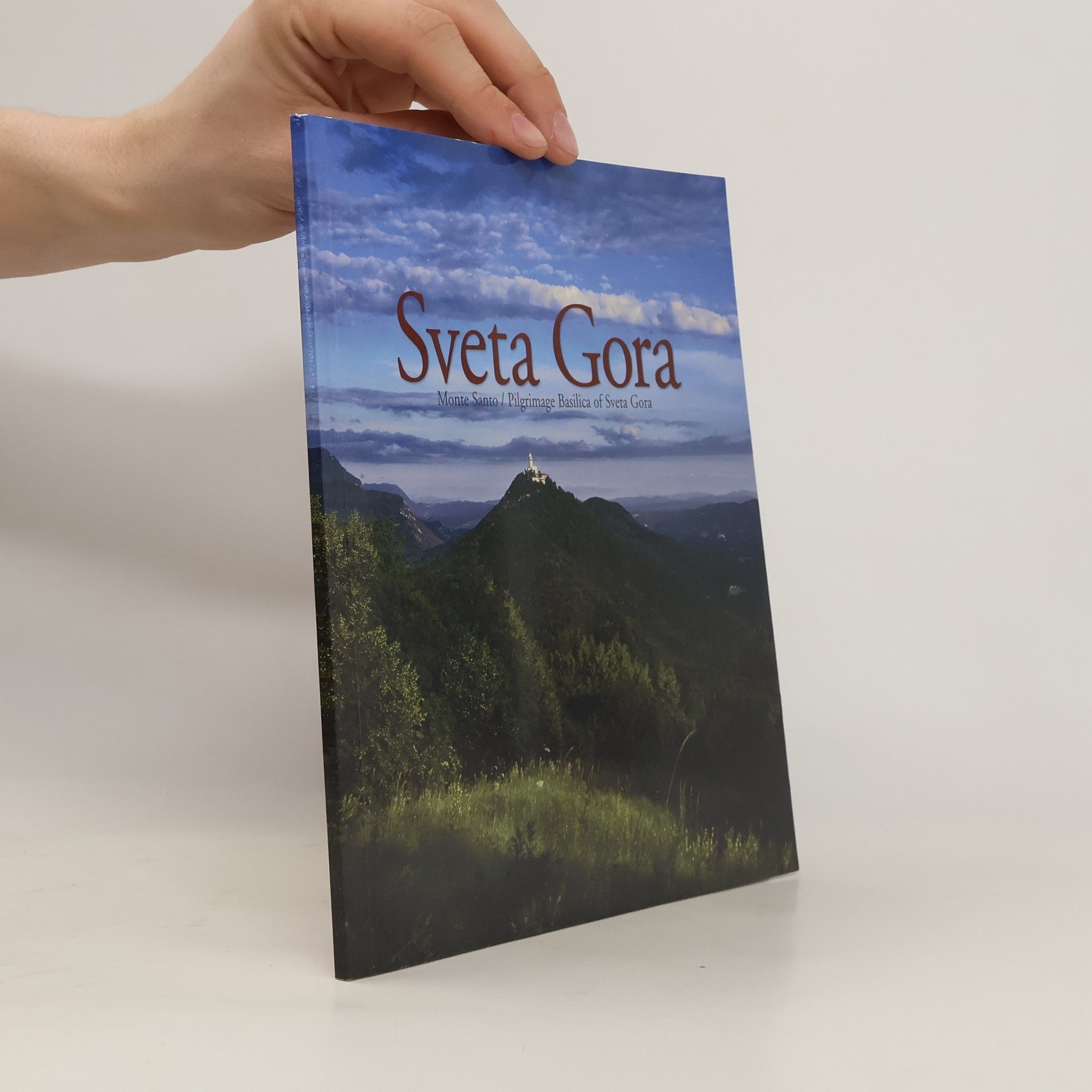 Autorenkollektiv Sveta Gora