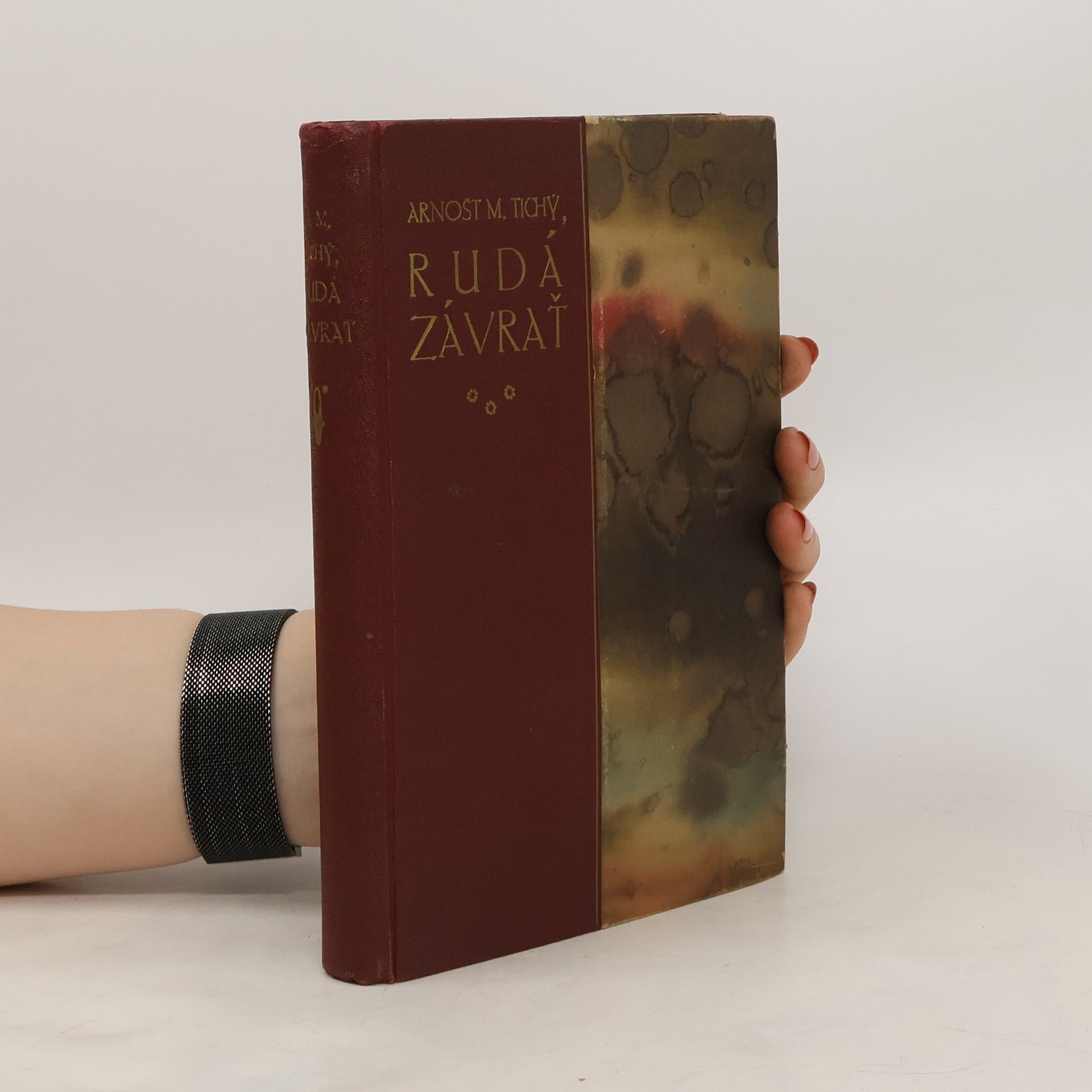 Arnošt M. Tichý Rudá závrať