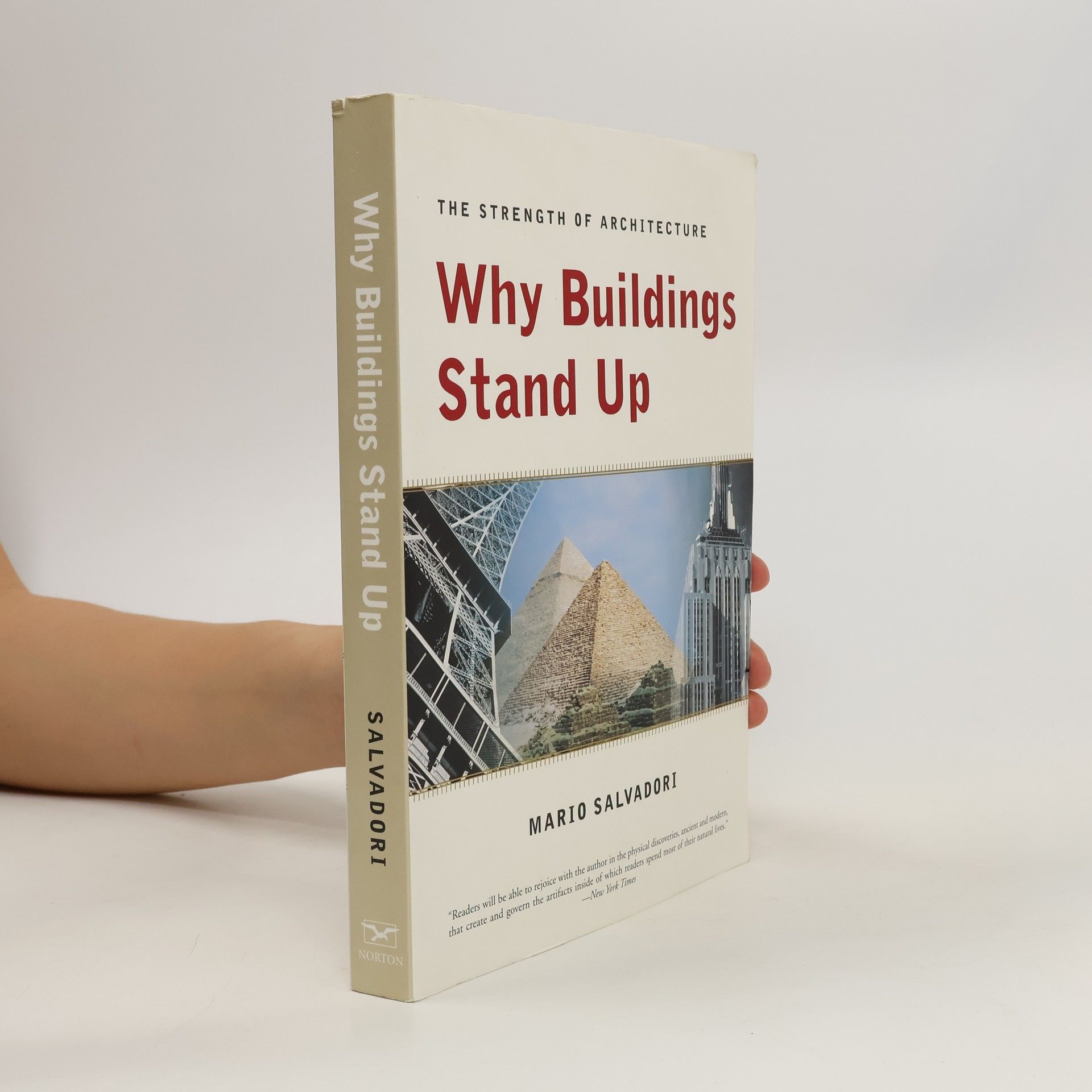 Matthys Levy Why Buildings Stand Up