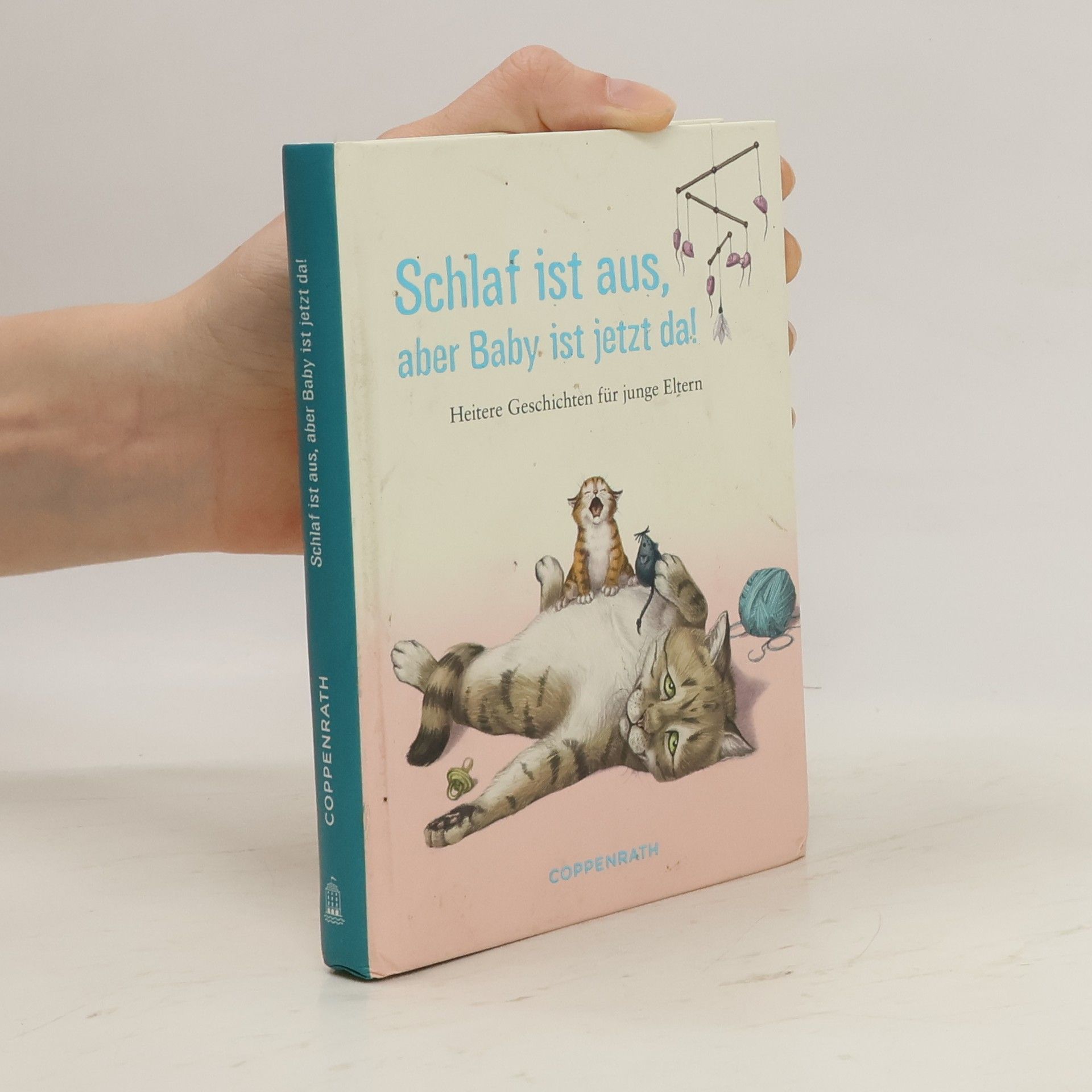 Lena Zeise Schlaf ist aus, aber Baby ist jetzt da. Heitere Geschichten