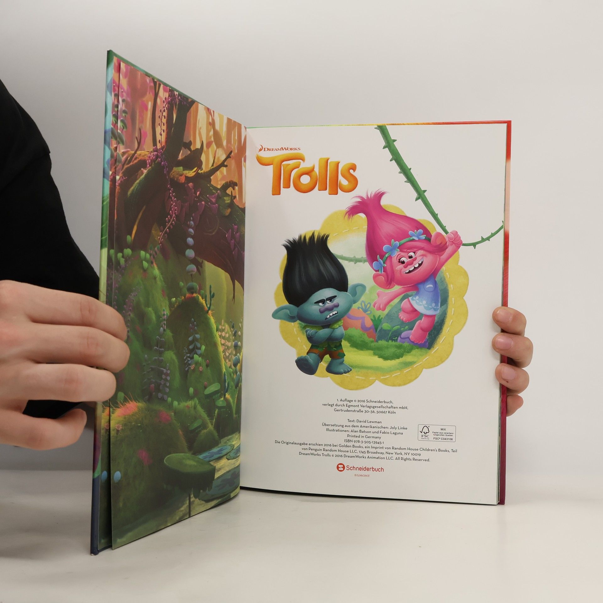 David Lewman Trolls - das große Buch zum Film