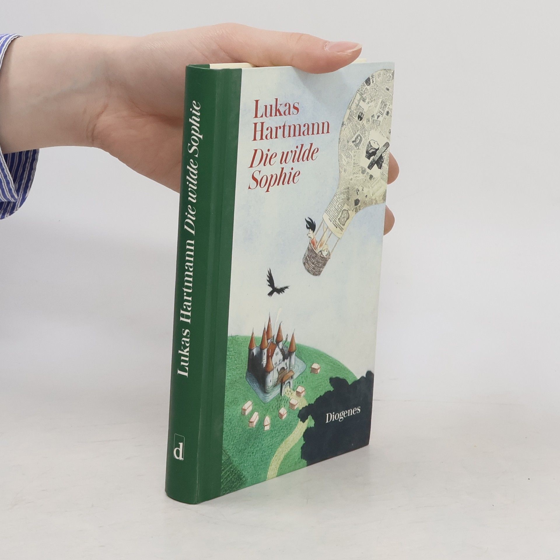 Lukas Hartmann Die wilde Sophie