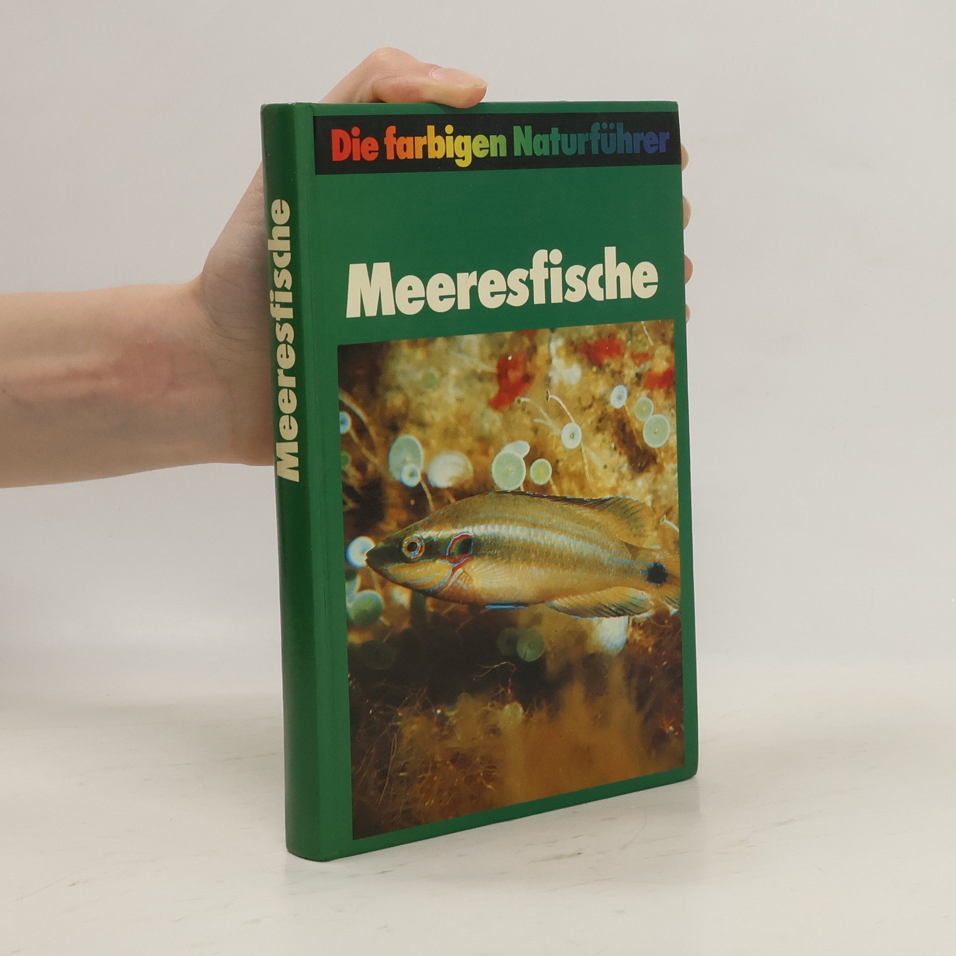 Various authors Meeresfische