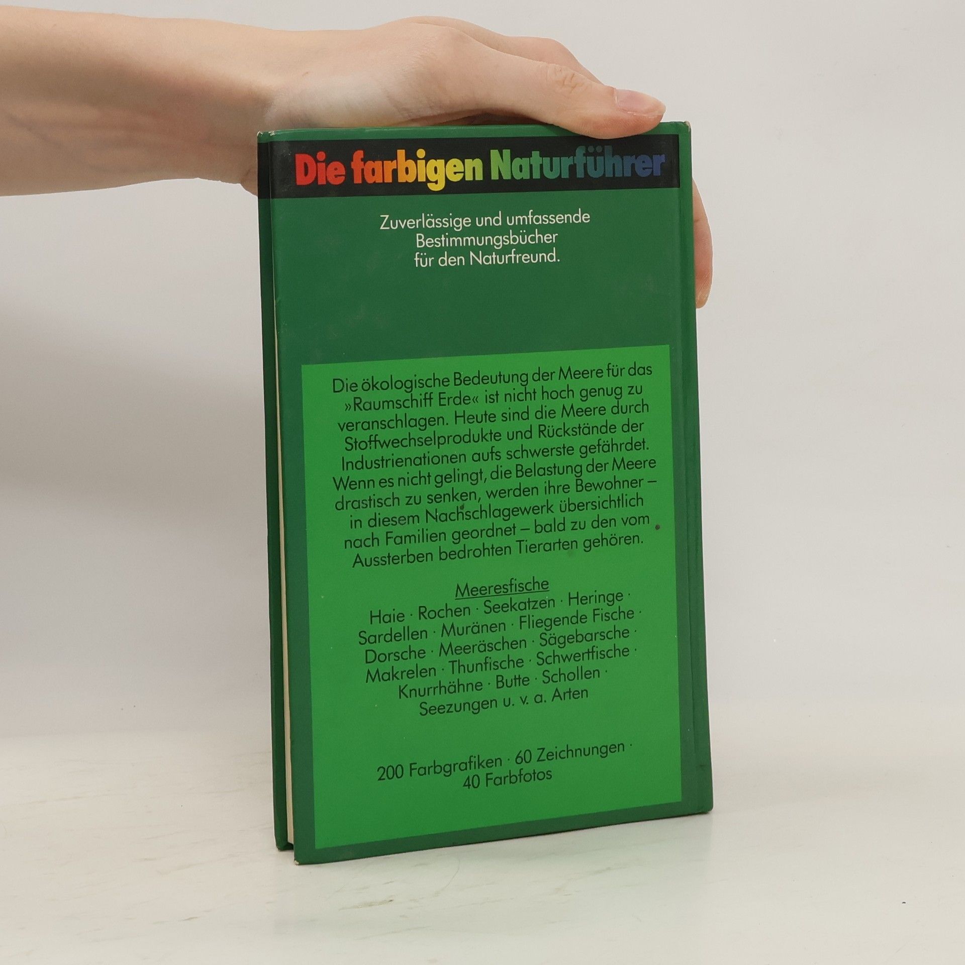 Various authors Meeresfische