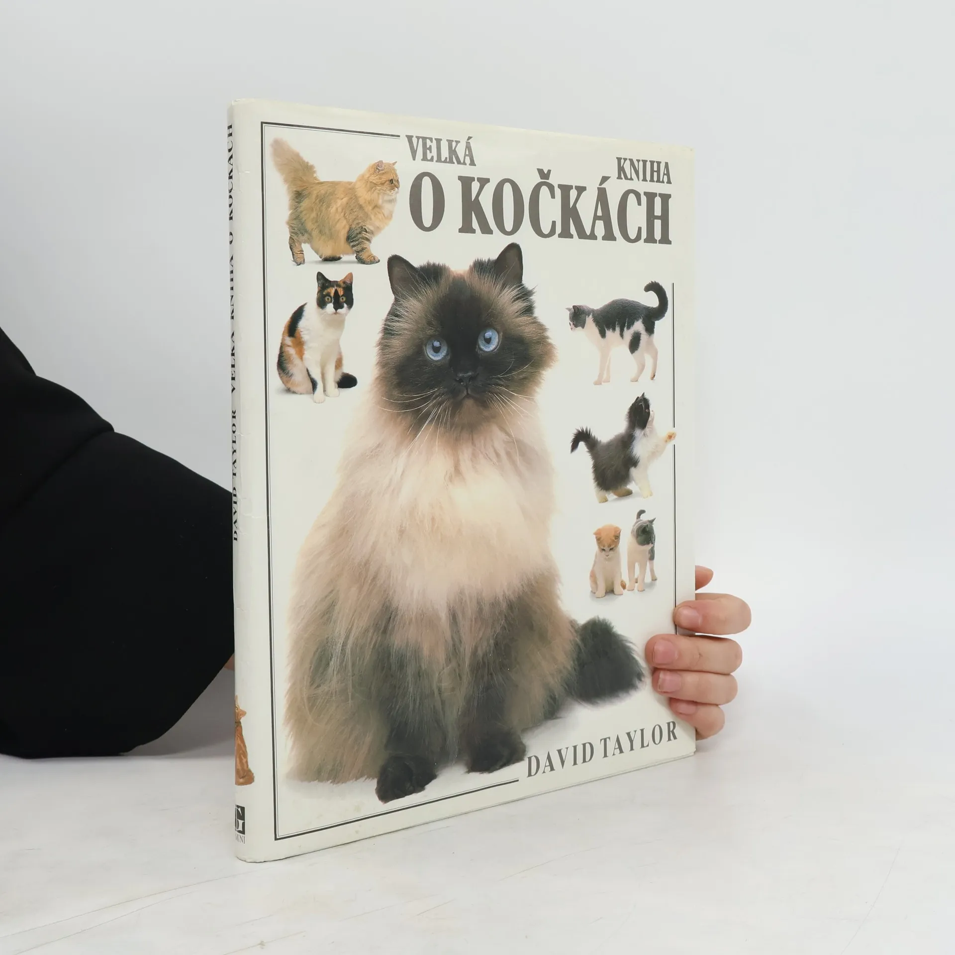 Velká kniha o kočkách | Book | Hardcover | David Taylor | CS