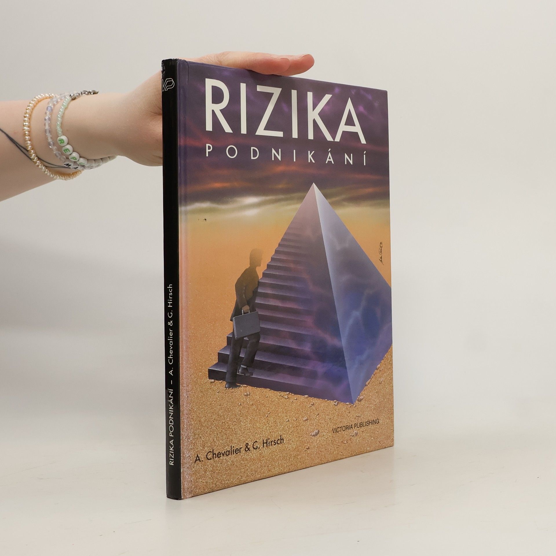 Alain Chevalier Rizika podnikání