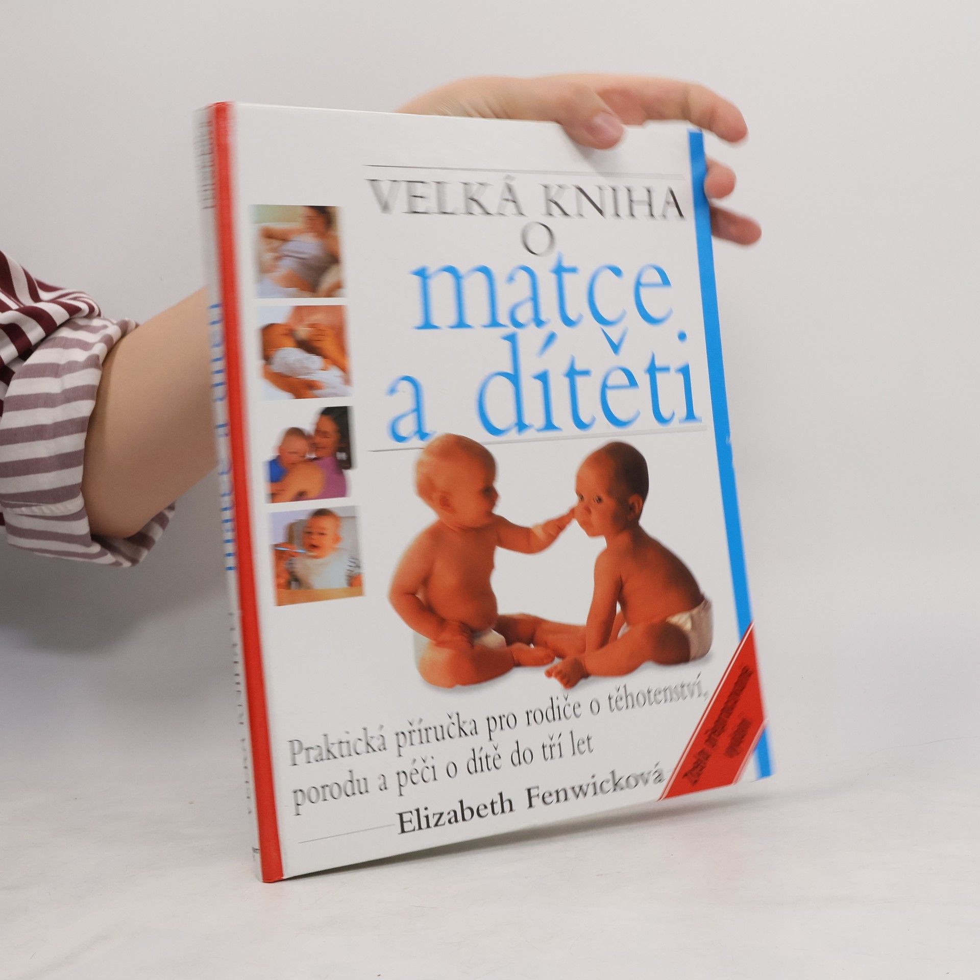 Elizabeth Fenwick Velká kniha o matce a dítěti
