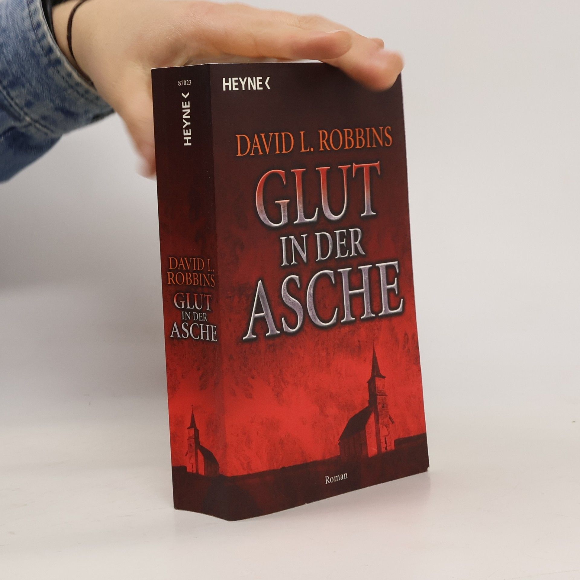 David L. Robbins Glut in der Asche. Roman