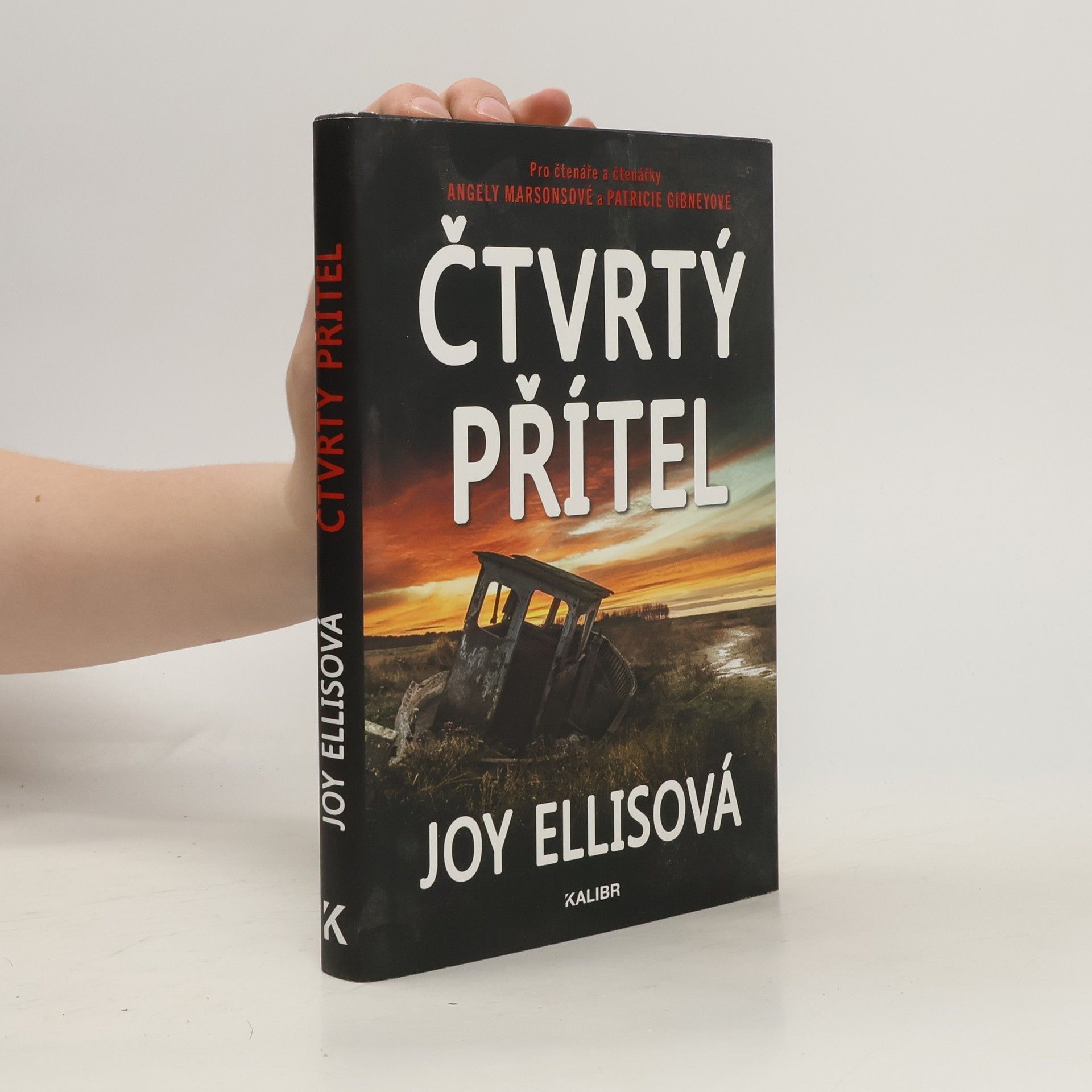 Joy Ellis Čtvrtý přítel