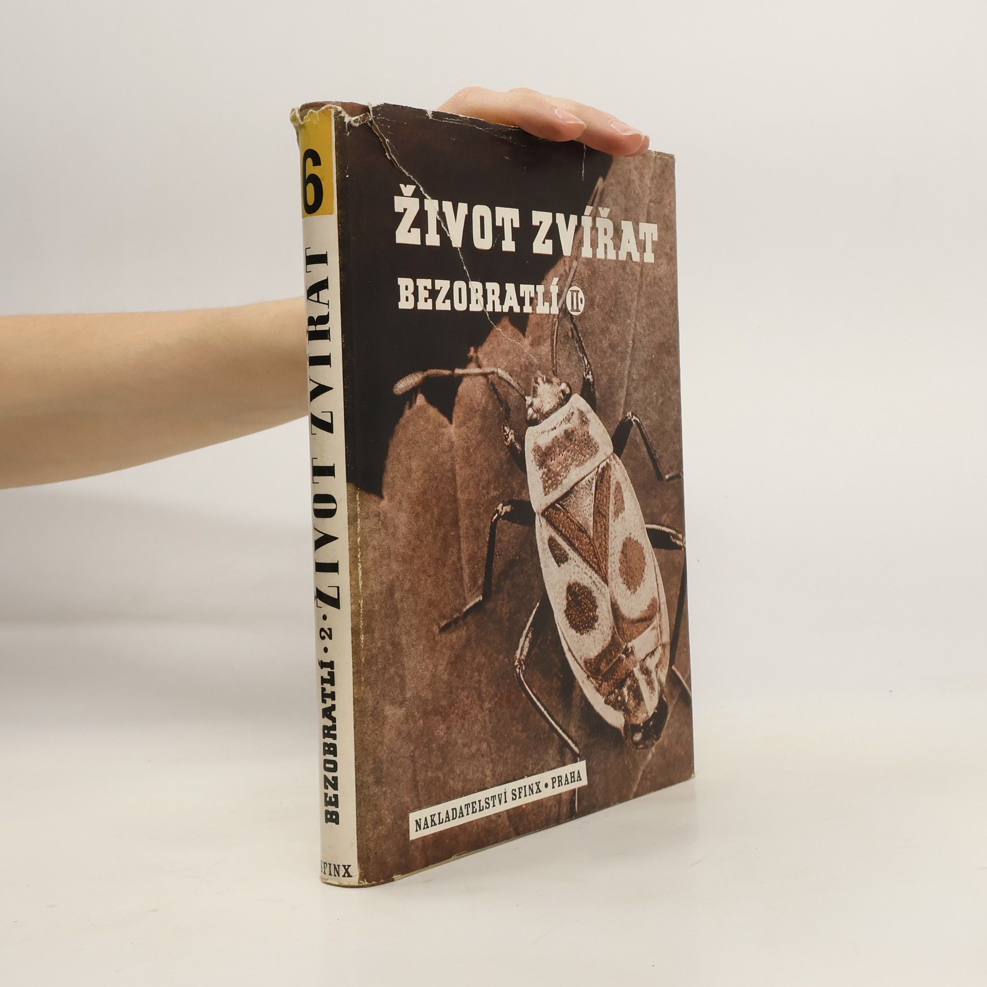 kolektiv Život zvířat. Bezobratlí