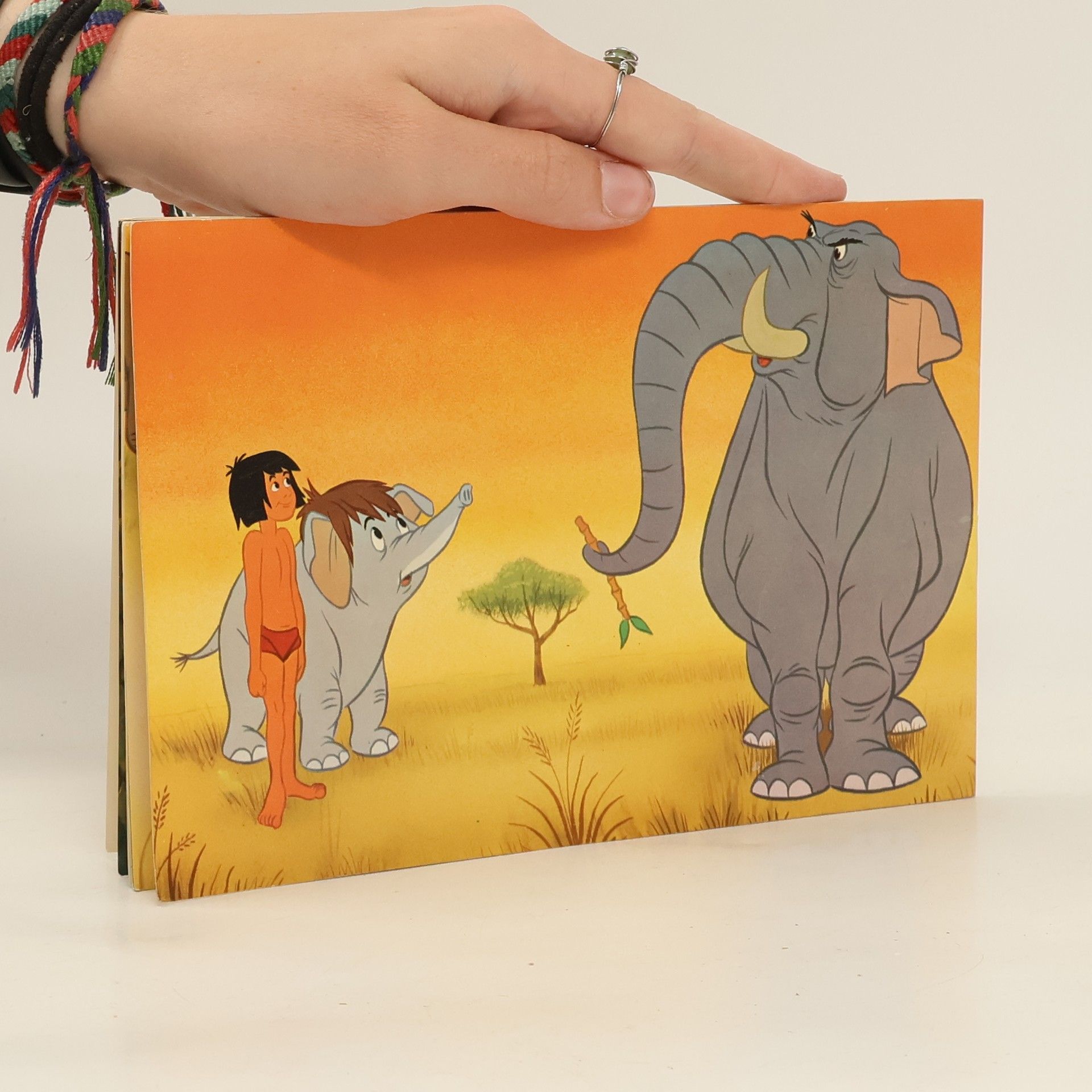 kolektiv Das Dschungelbuch