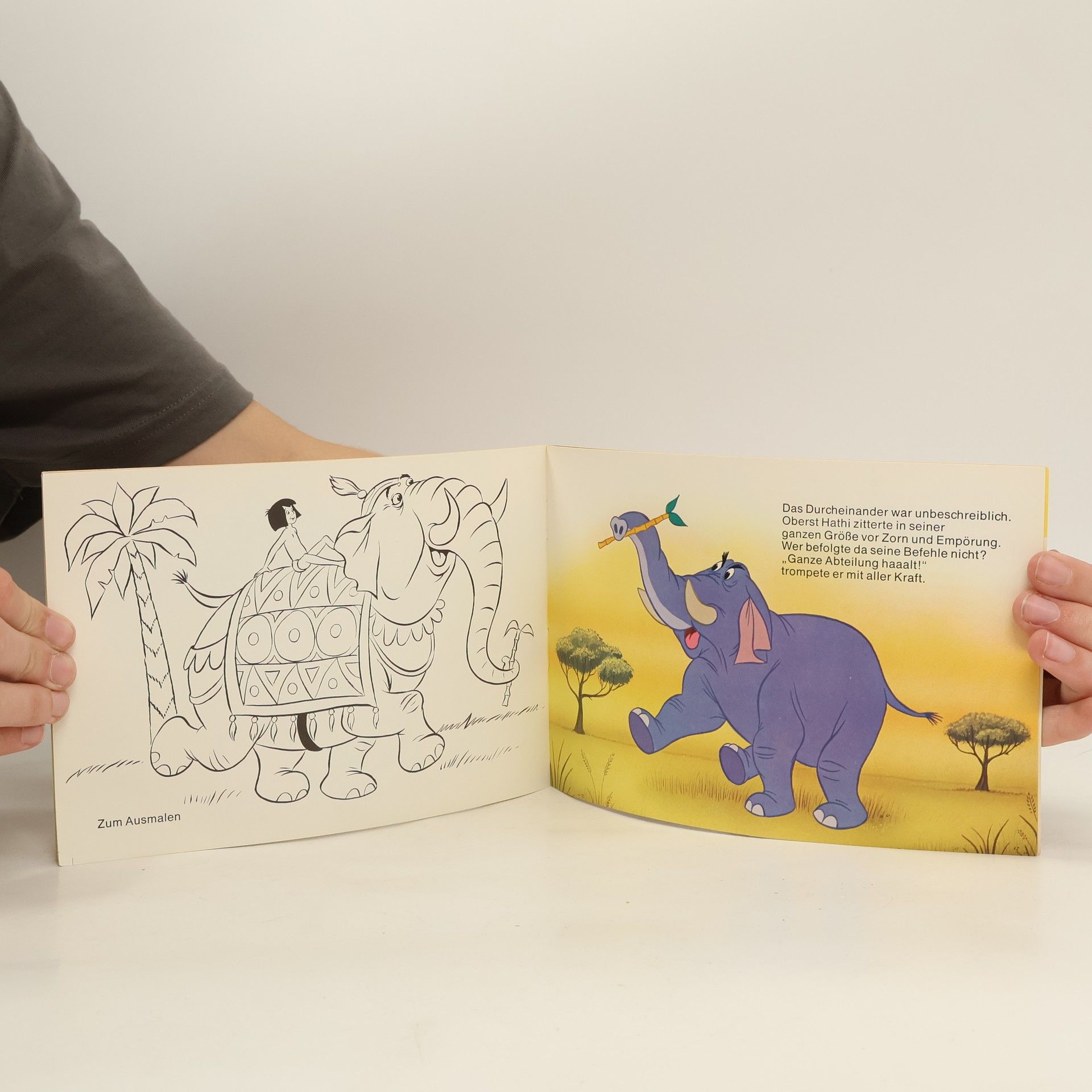 kolektiv Das Dschungelbuch
